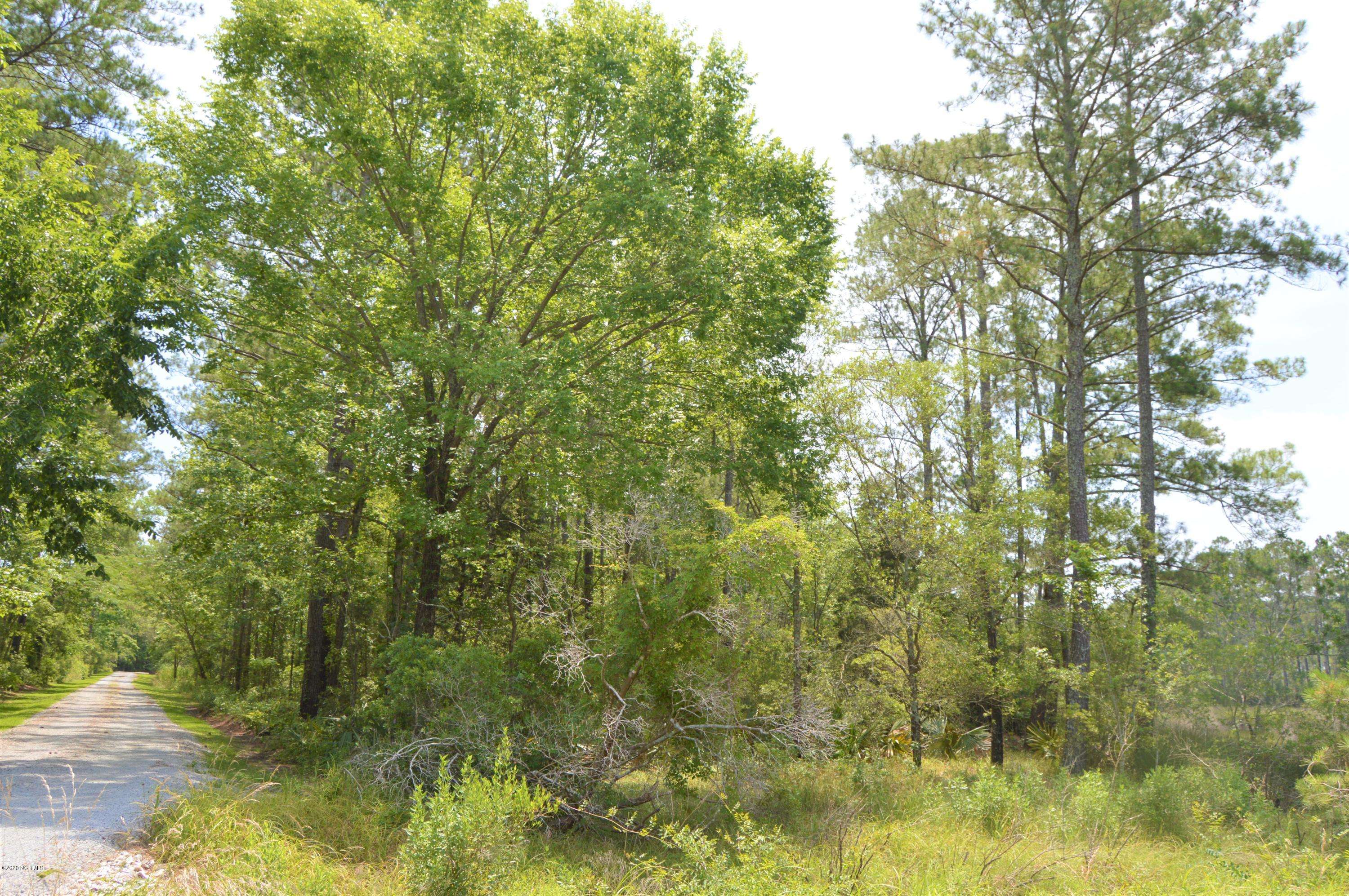 Merritt, NC 28556,Lot D Whortonsville RD