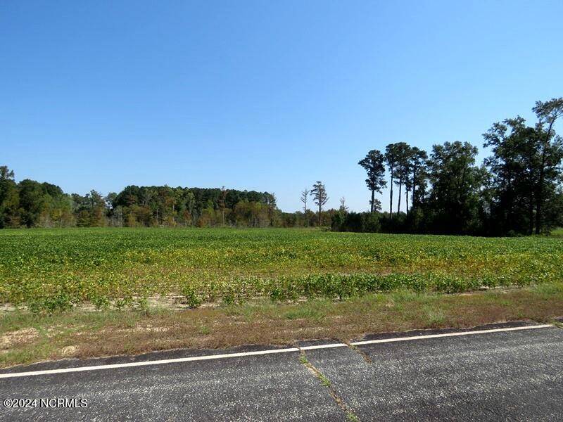 Fairmont, NC 28340,Tbd Cowpen Swamp RD