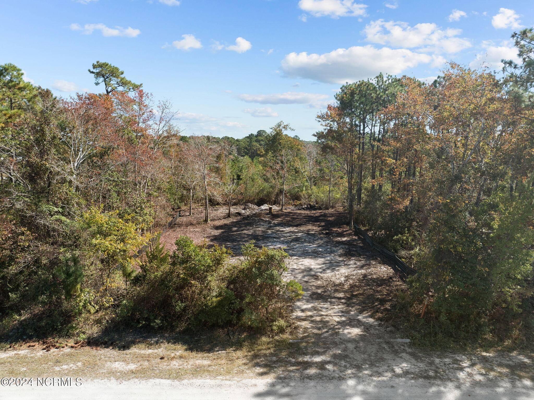 Boiling Spring Lakes, NC 28461,361 Sunset RD