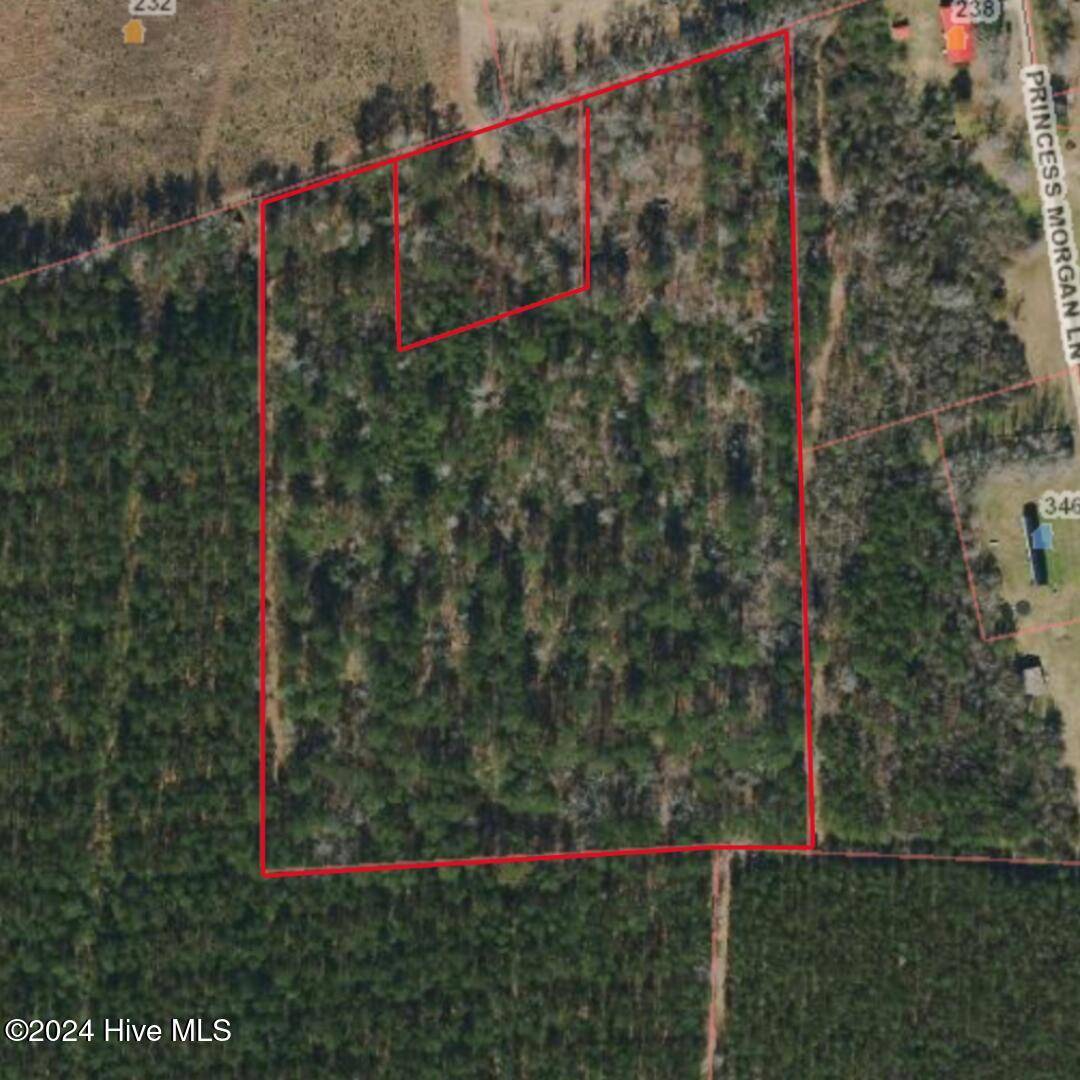 Willard, NC 28478,11.5 Acres Ernest Valeria LN