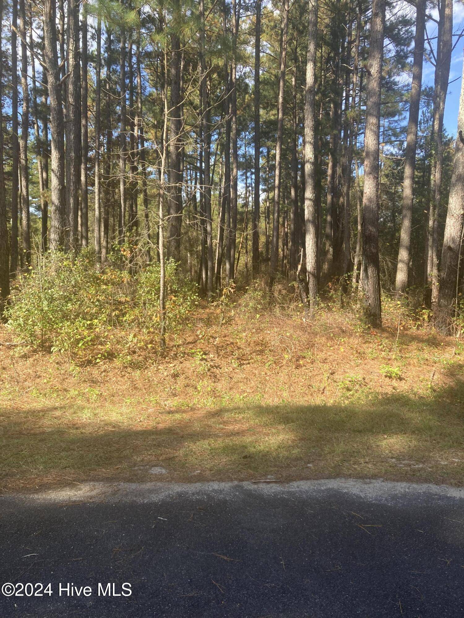 Laurinburg, NC 28352,Lot 67 Bucknell LN