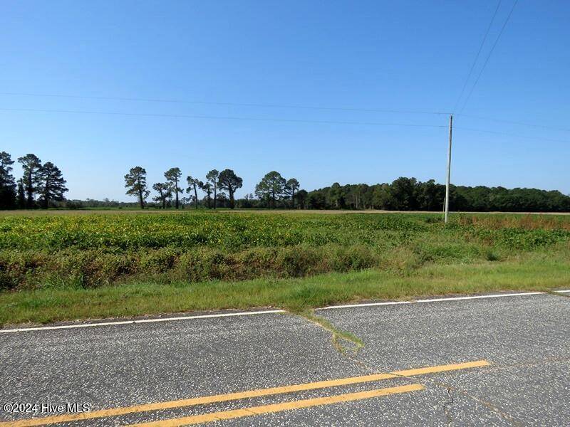 Fairmont, NC 28340,Tbd Cowpen Swamp RD