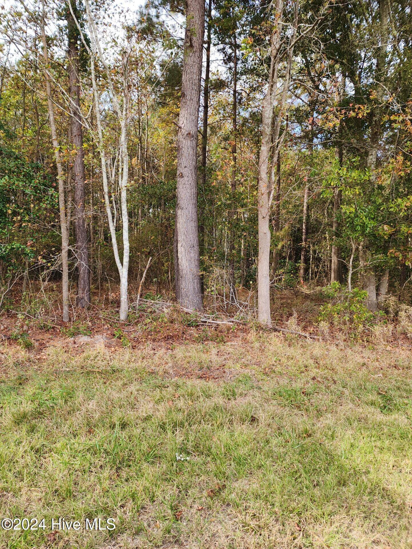 Willard, NC 28478,23.57 Ac Piney Woods RD