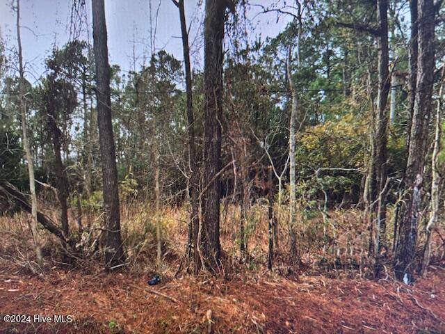 Swansboro, NC 28584,Tract 4 Swansboro Loop RD