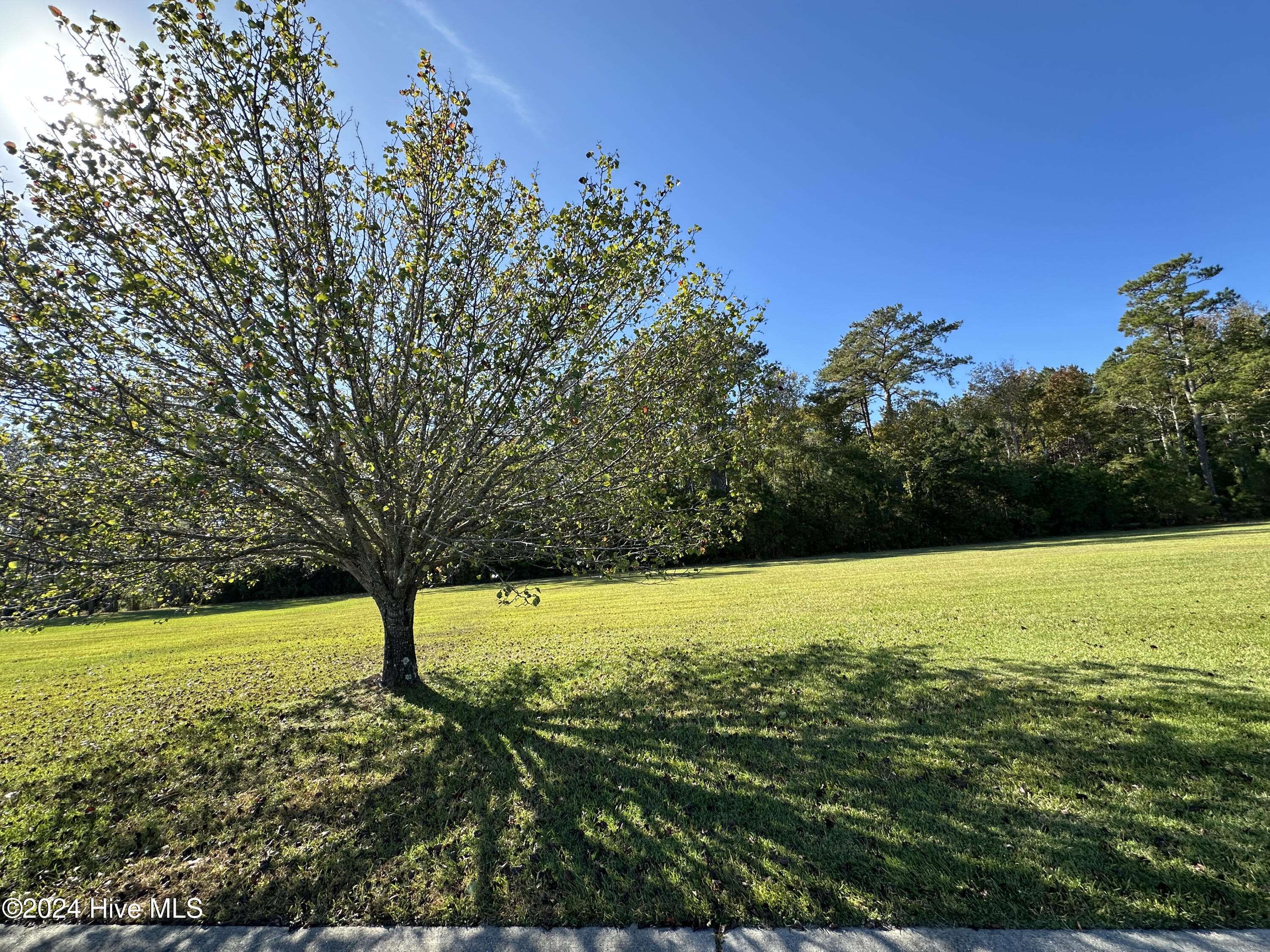 Havelock, NC 28532,108 Bare Foot CT