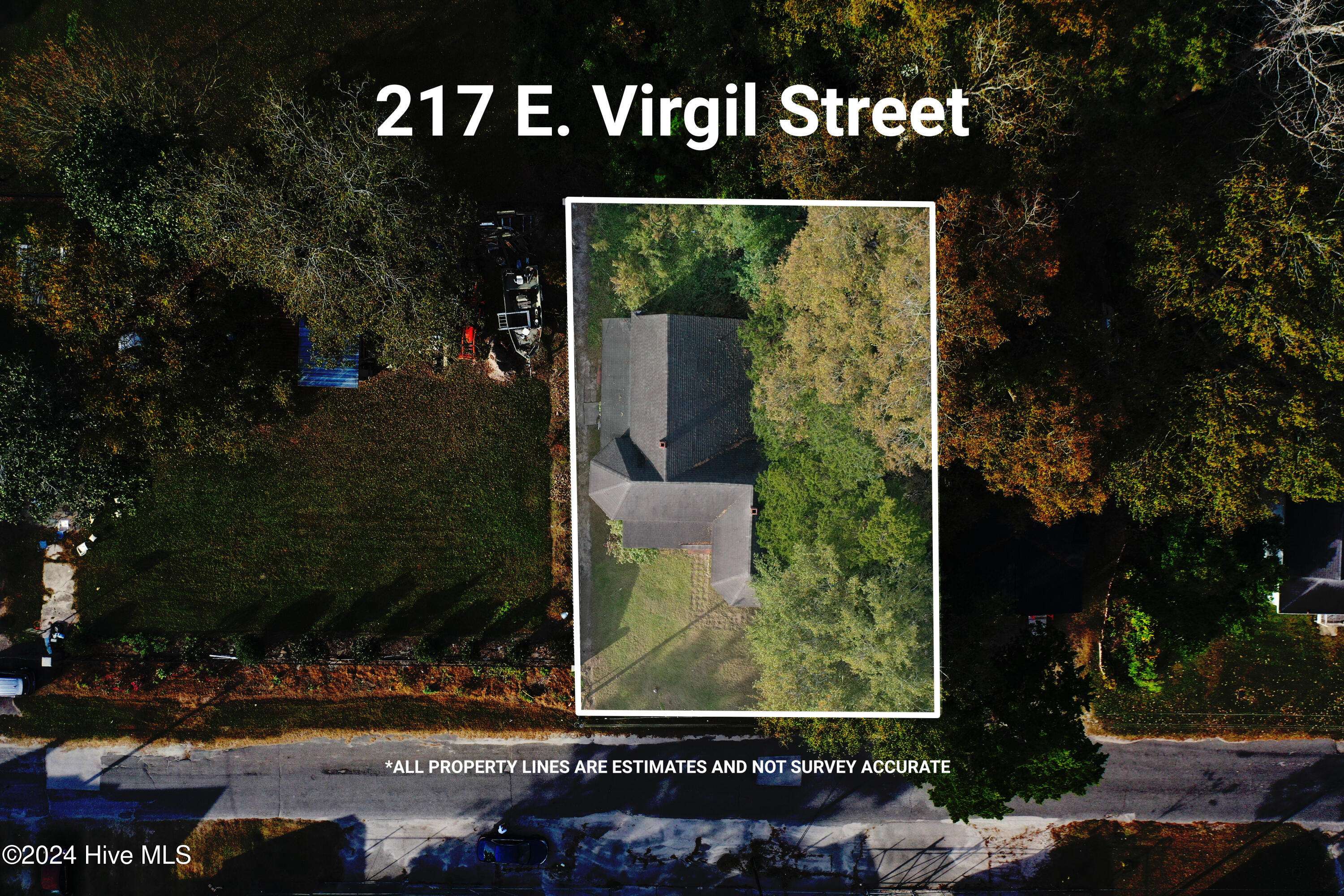 Whiteville, NC 28472,217 E Virgil ST