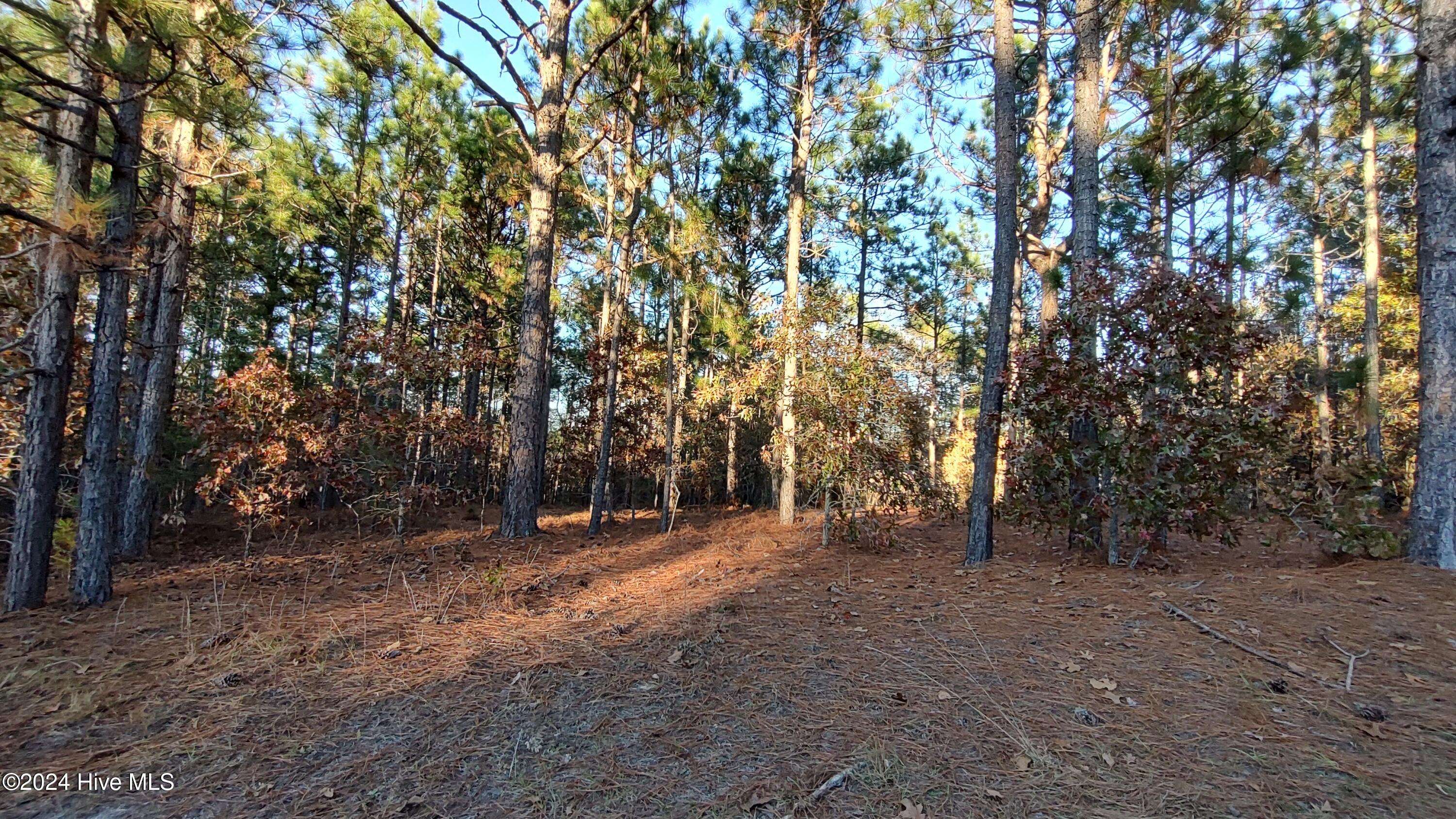 Jackson Springs, NC 27281,6 & 7 Brassie CIR