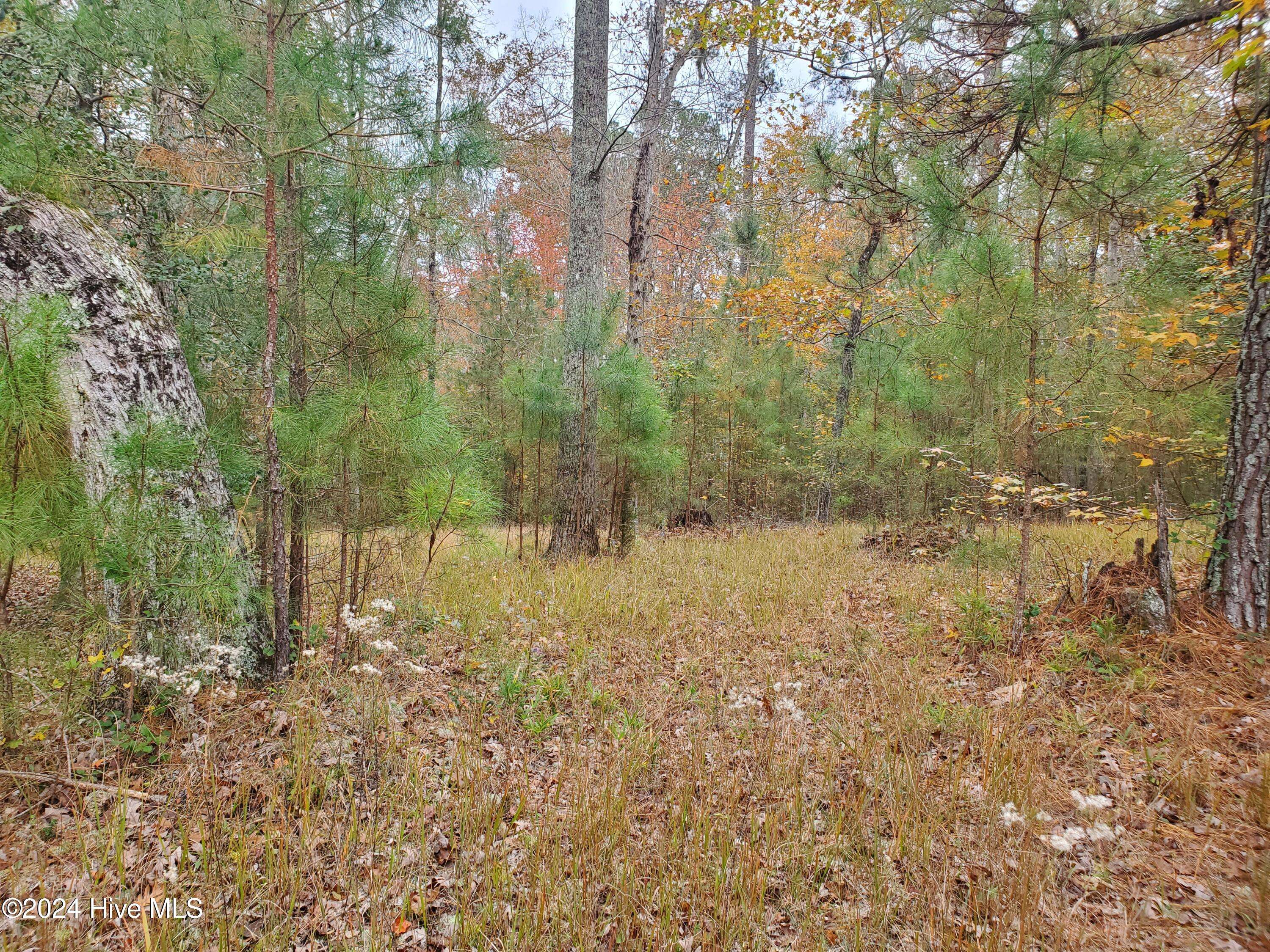 Chocowinity, NC 27817,Lot 98 Waters Edge DR