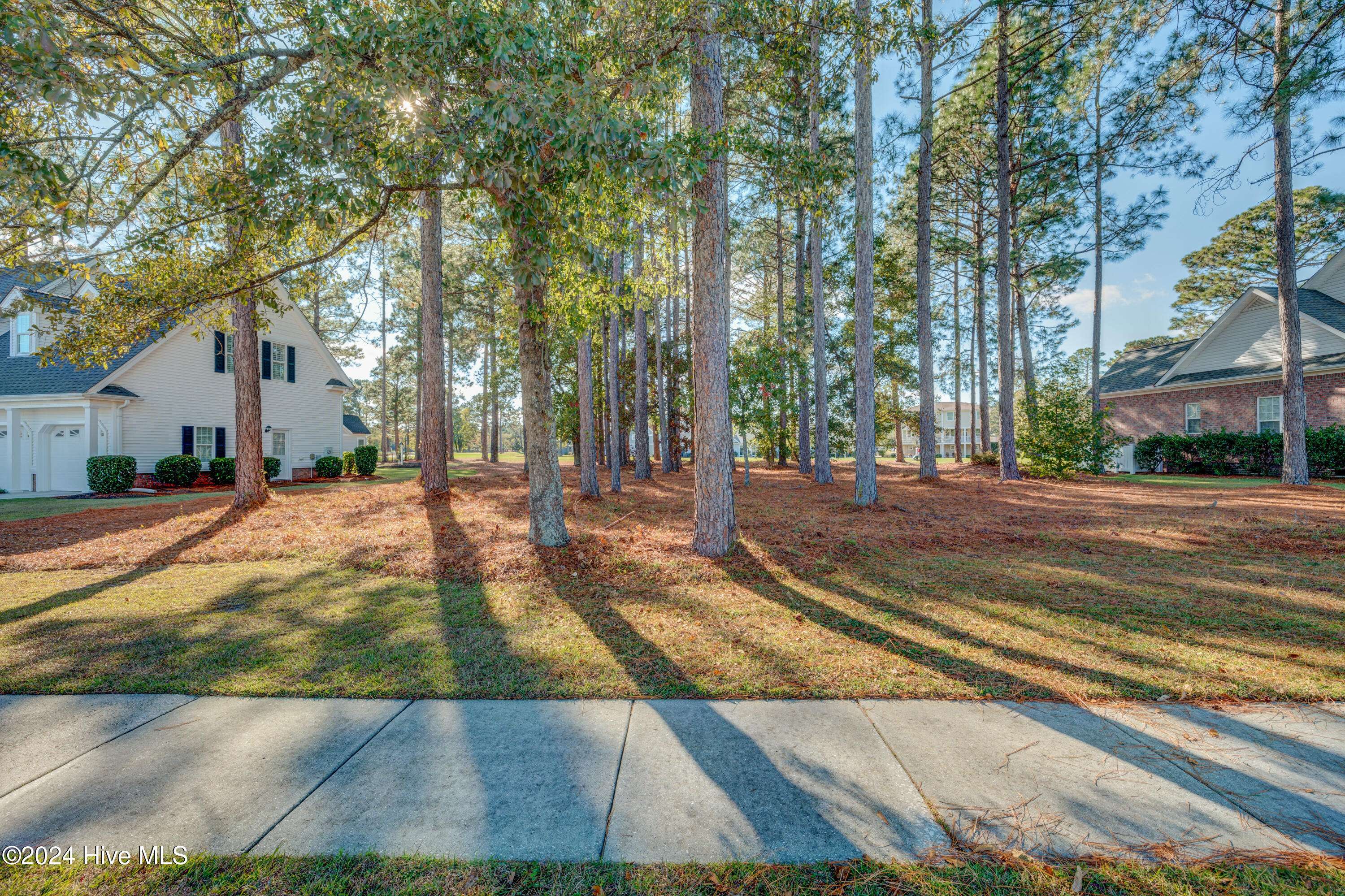 Leland, NC 28451,1380 Grandiflora DR