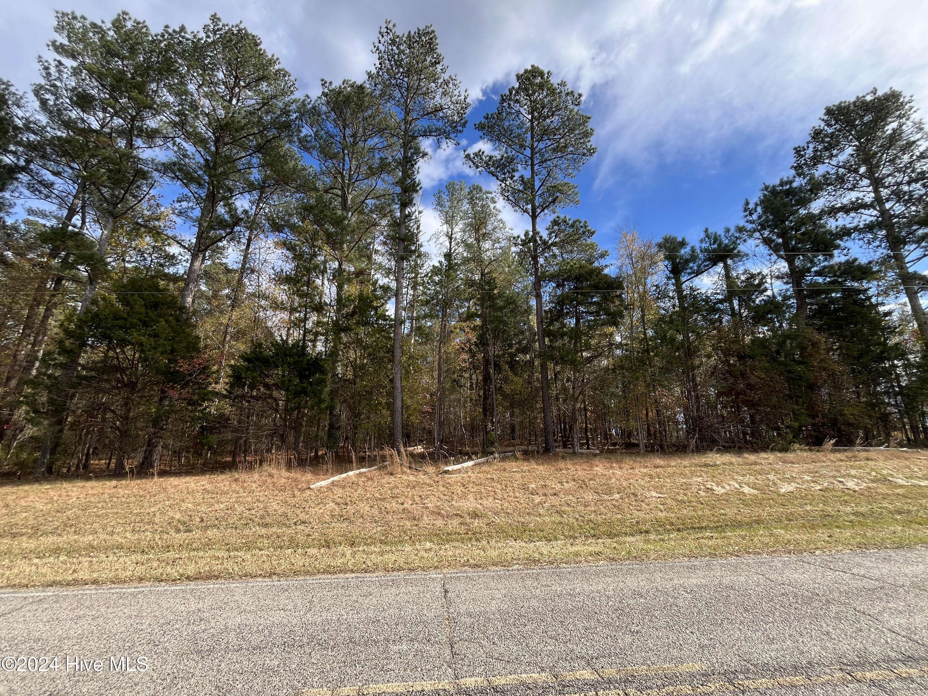 Bear Creek, NC 27207,000 Deane Beaver RD