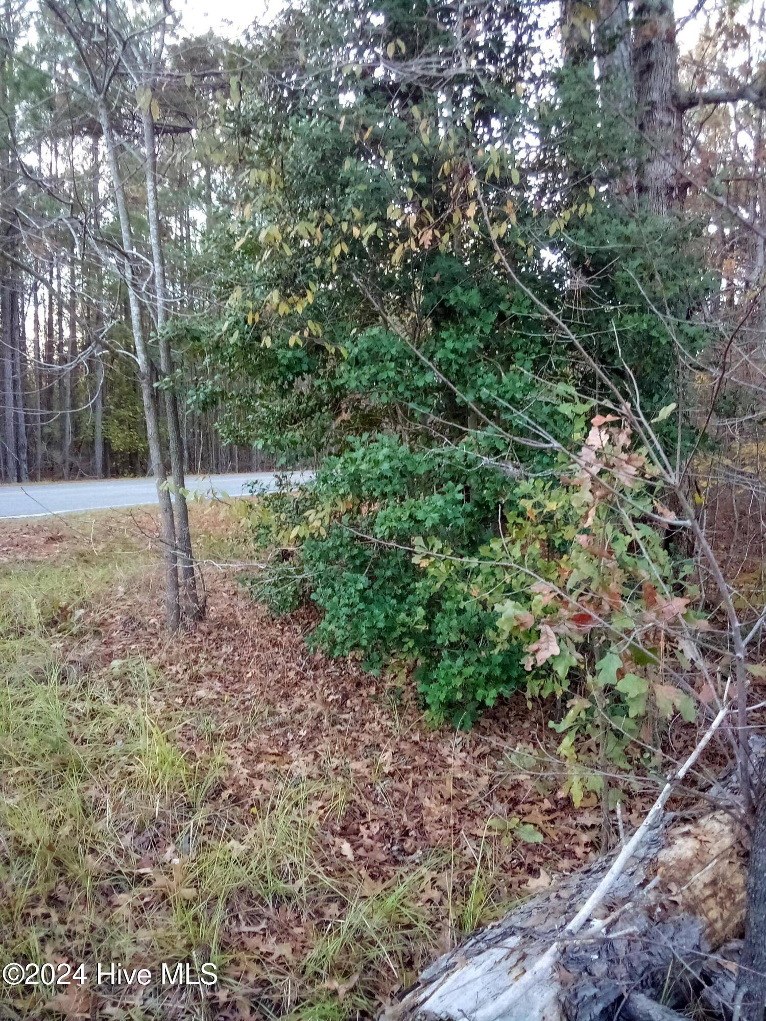 Rockingham, NC 28379,Lot #1 Stelleys Tabernacle Church RD