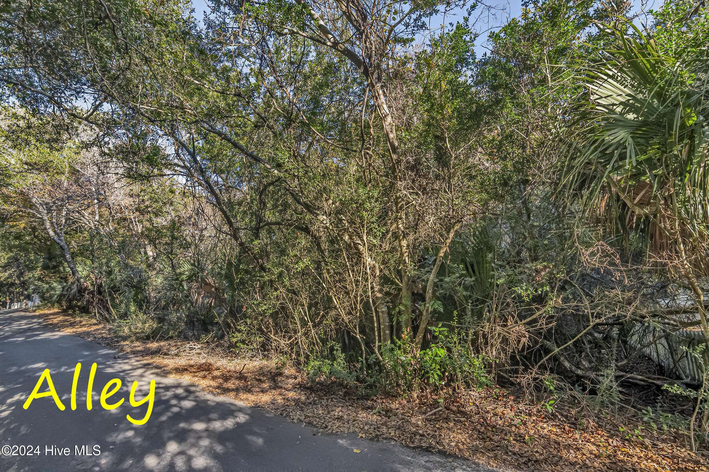 Bald Head Island, NC 28461,624 Currituck WAY