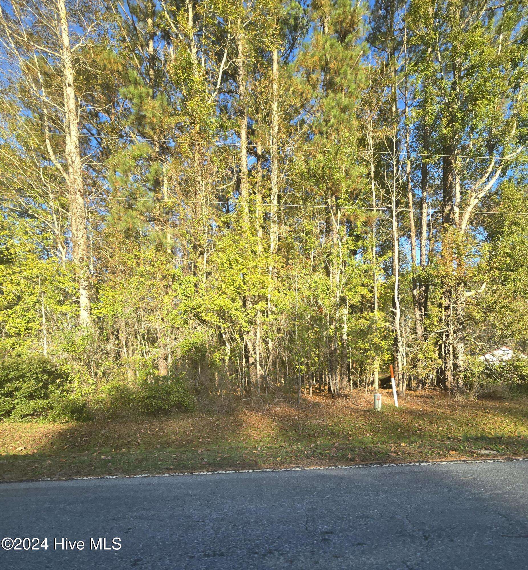 Blounts Creek, NC 27814,10 Hollis DR