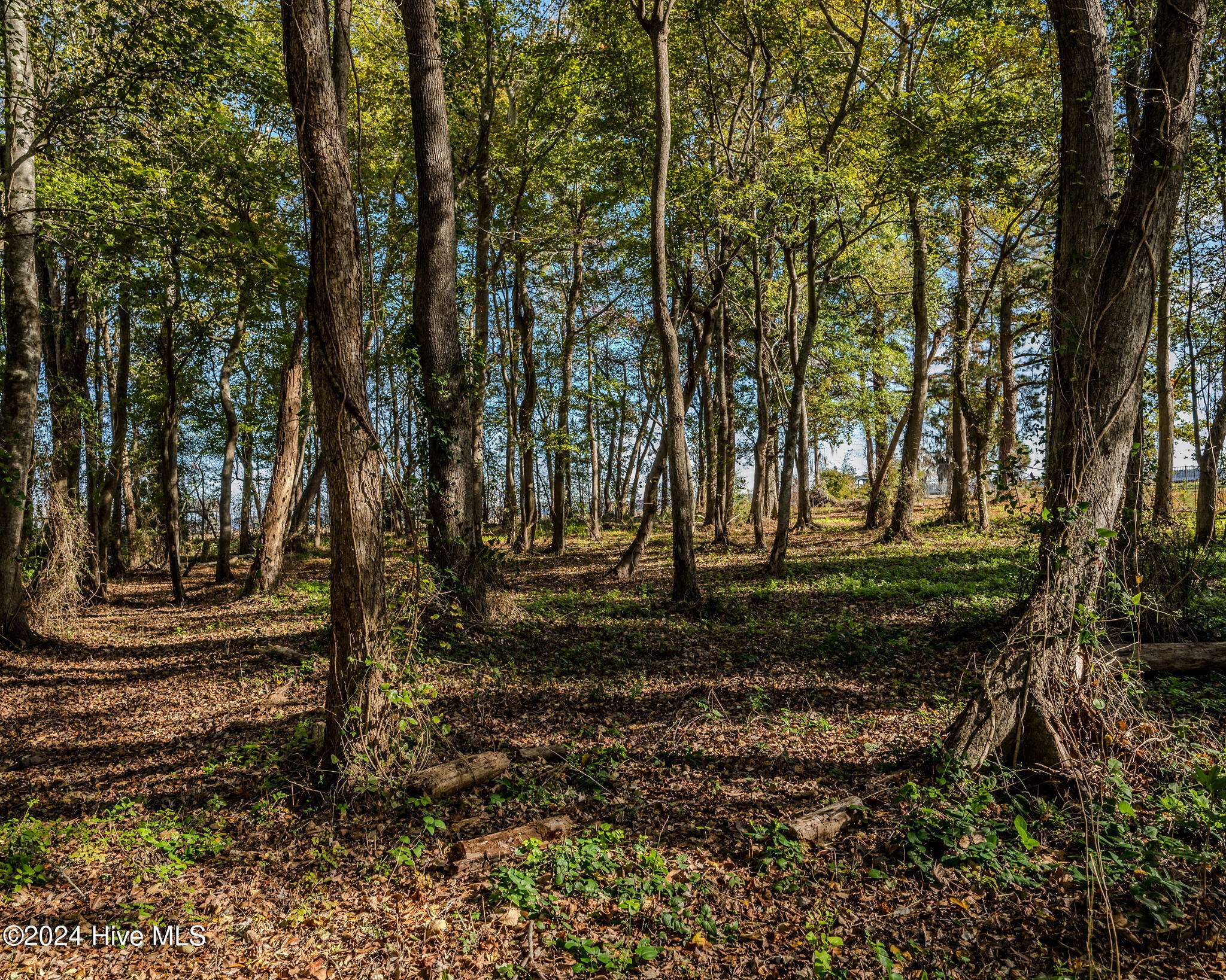 Lake Waccamaw, NC 28450,135 Near 3461 Waccamaw Shores RD