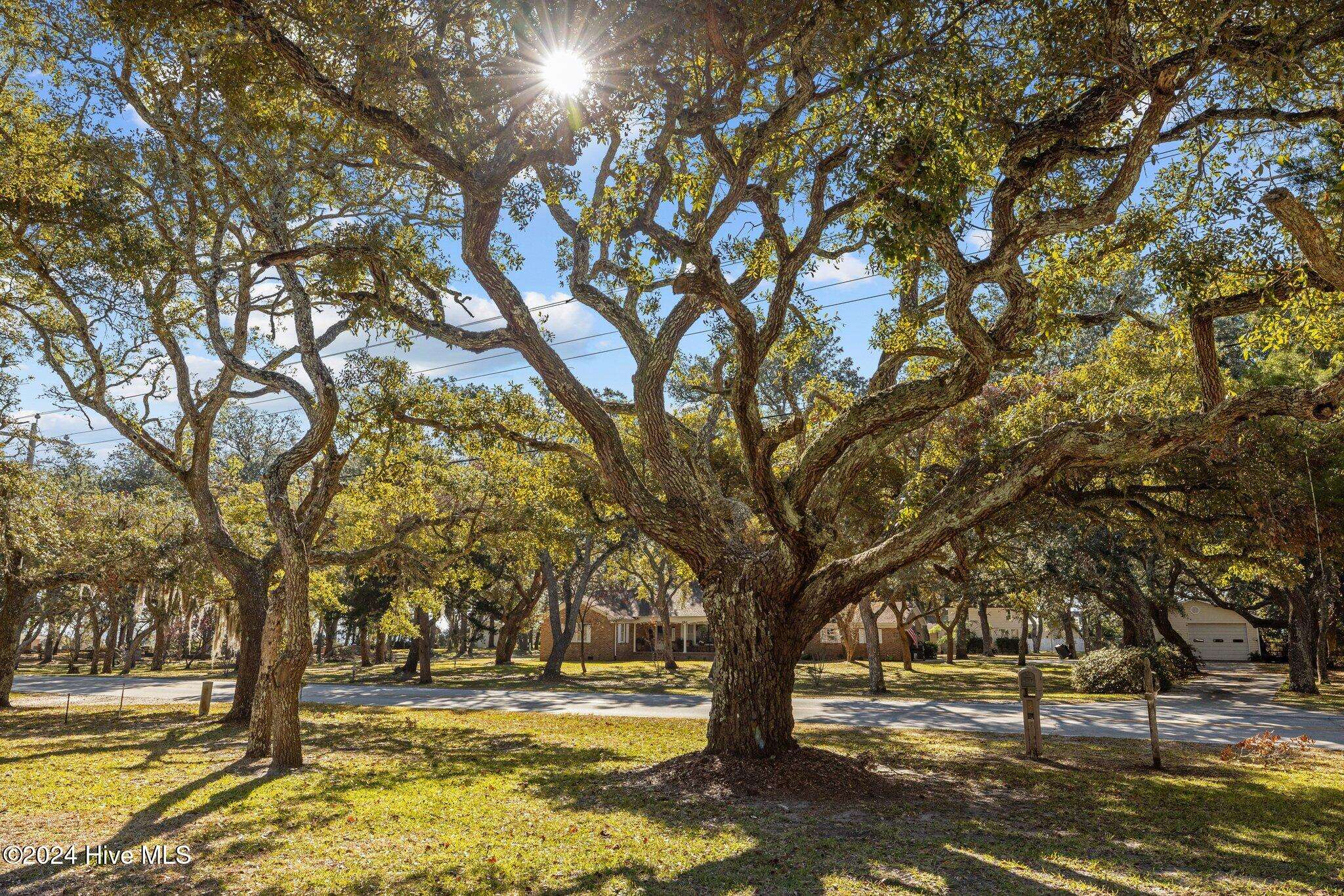 Harkers Island, NC 28531,475 Island RD