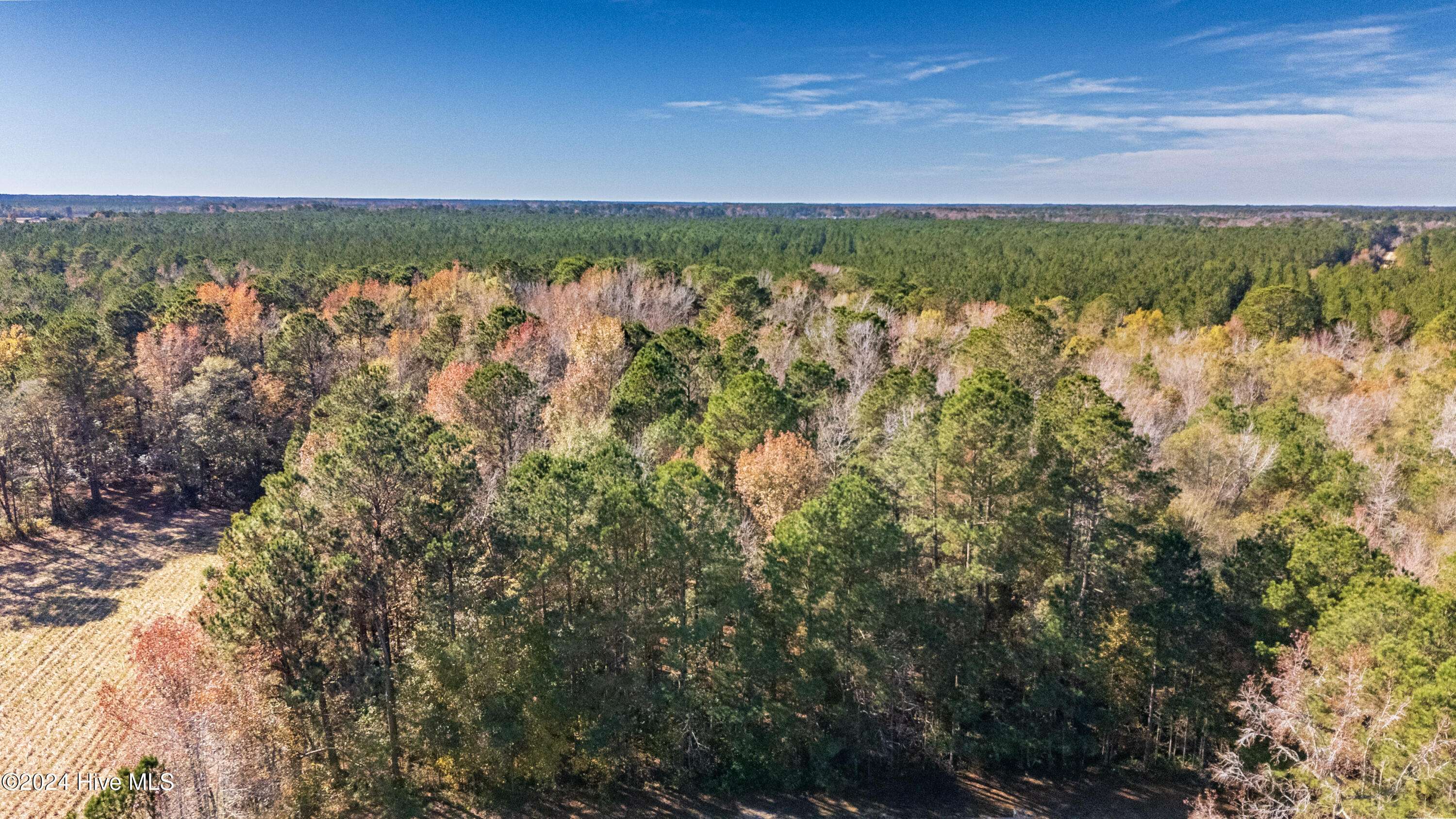 Willard, NC 28478,Behind2870 Wilmington Highway/421 HWY