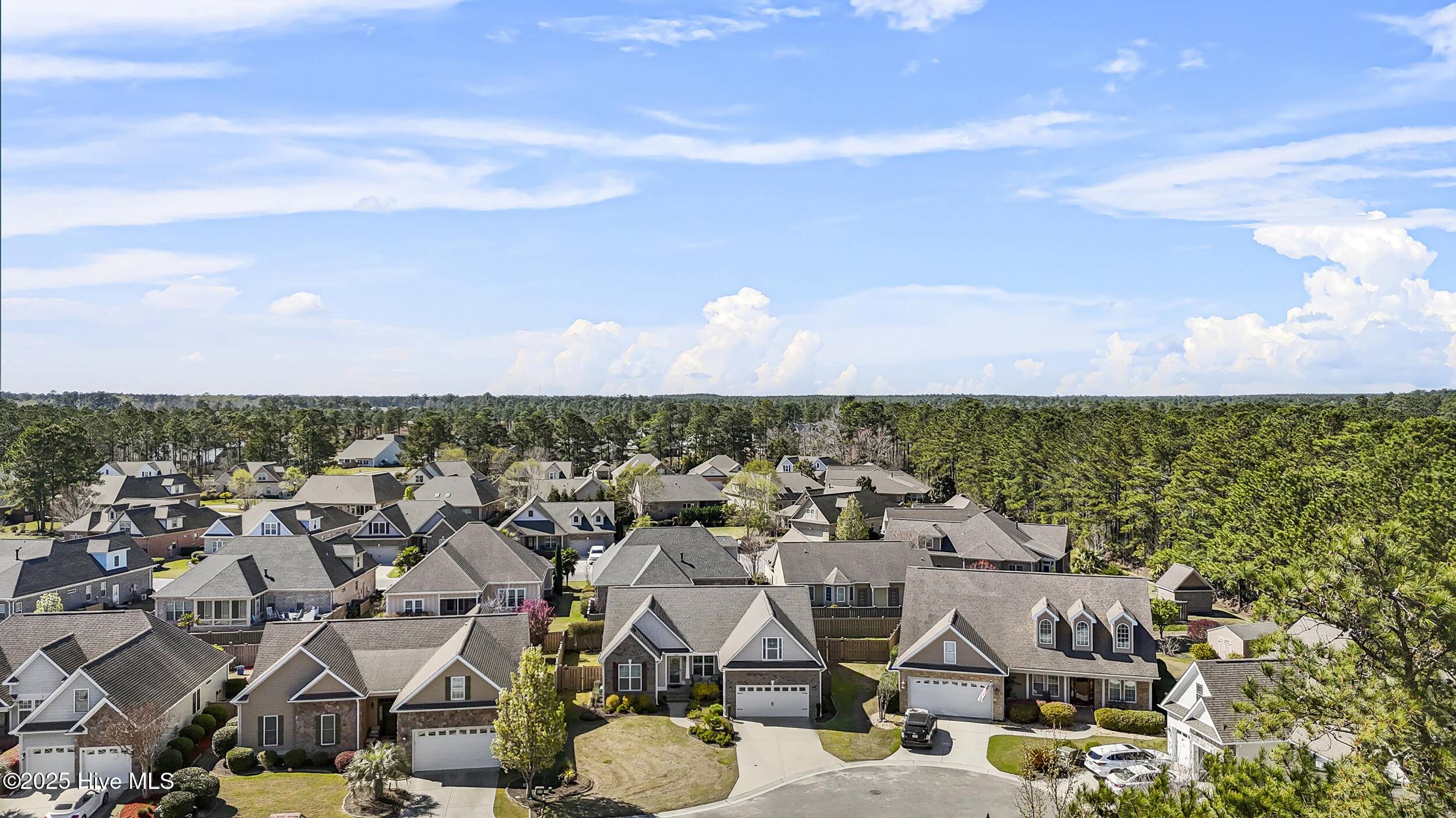 Leland, NC 28451,1029 Sparkle Stream CT