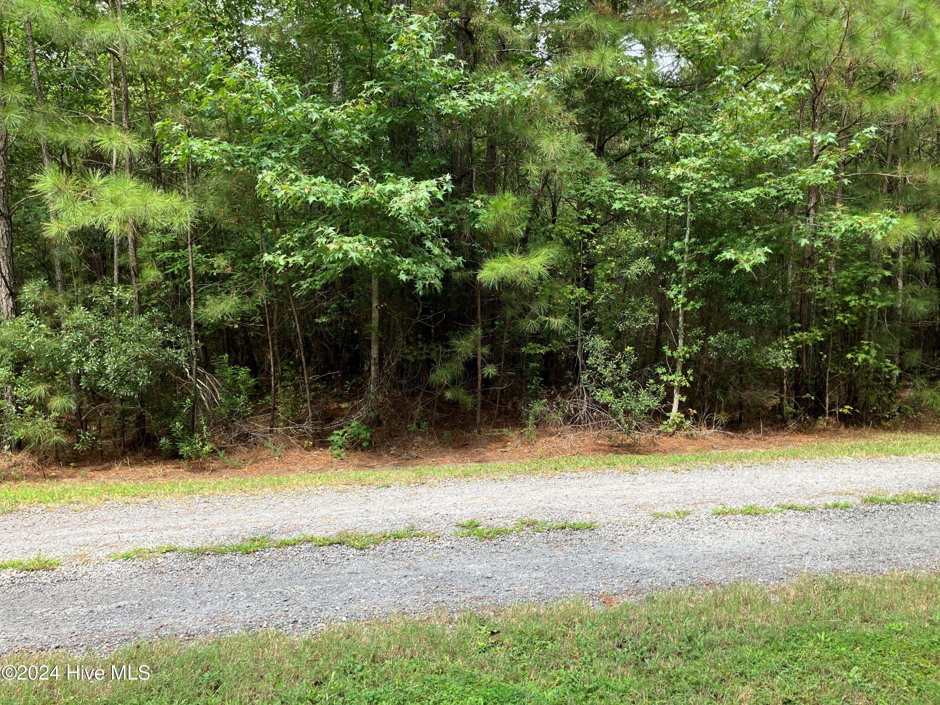 Gates, NC 27937,Lot 3 Kings Land CT