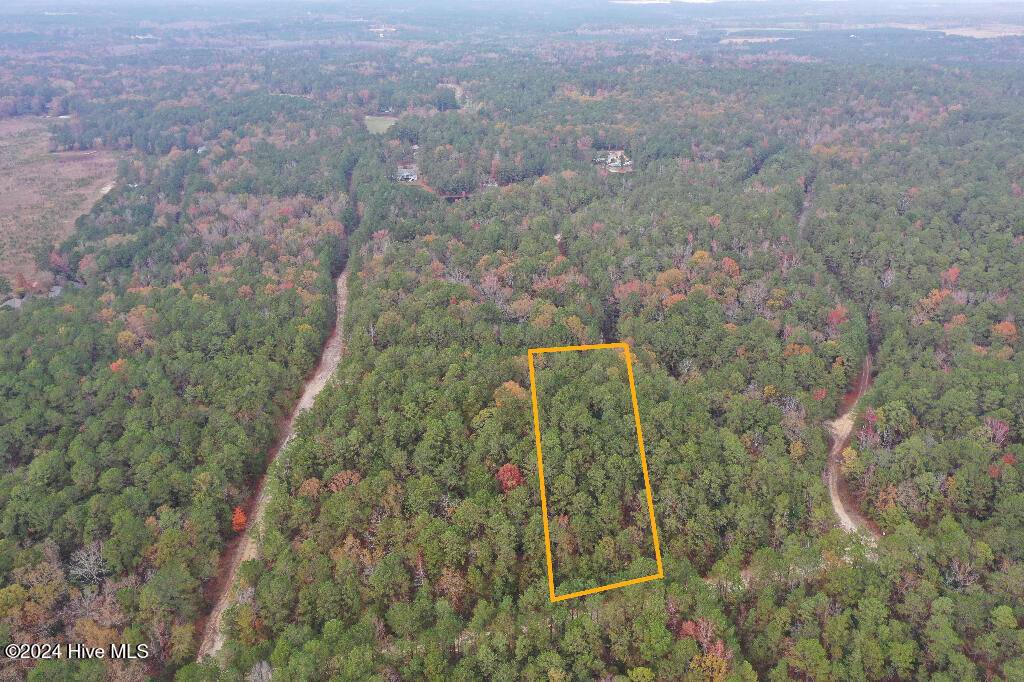 Vass, NC 28394,339 Indian Pipe LN