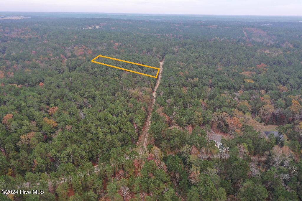 Vass, NC 28394,339 Indian Pipe LN