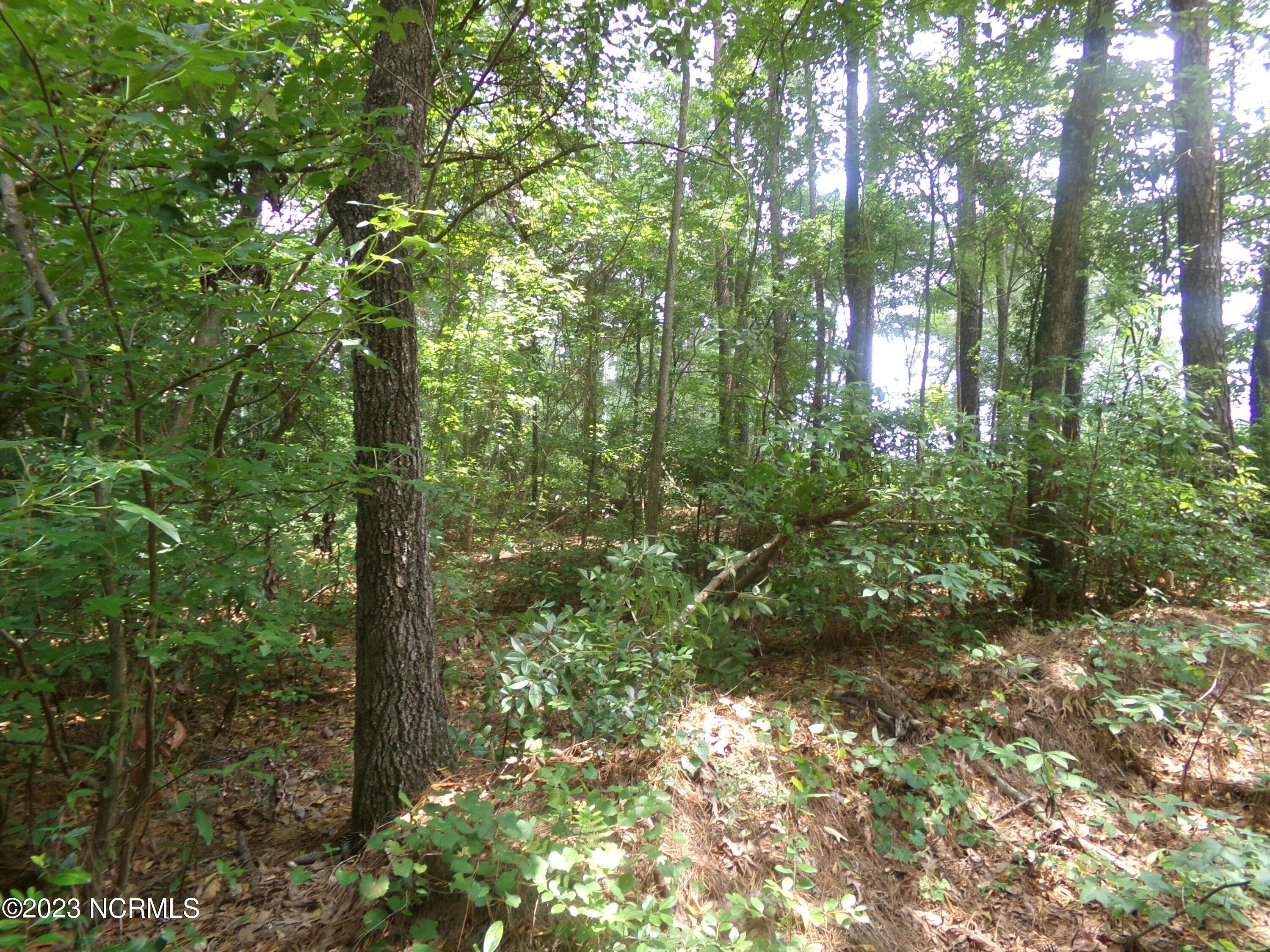 Clarkton, NC 28433,Near 484 John Spaulding RD