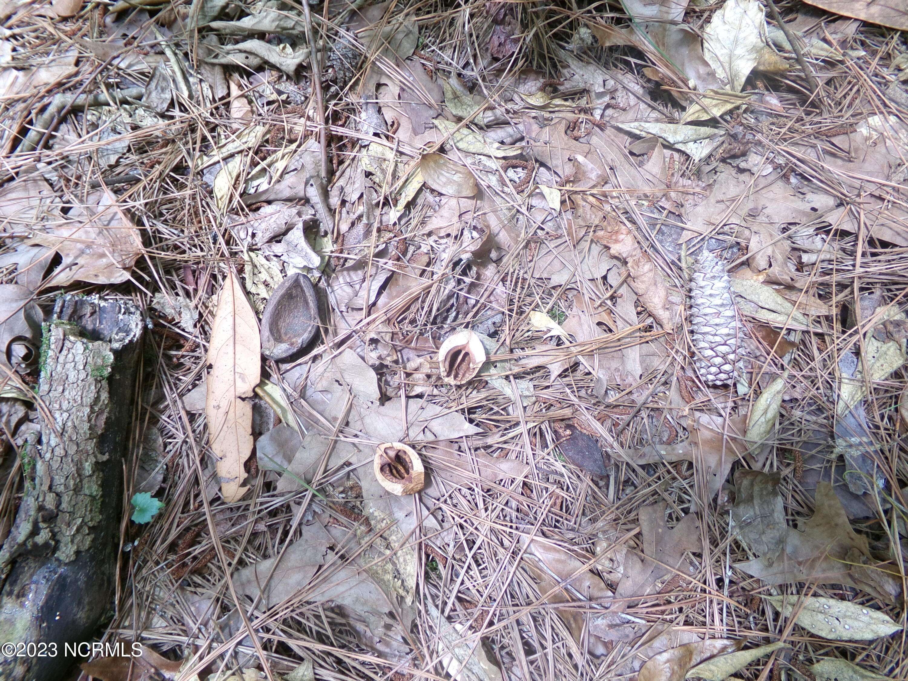 Clarkton, NC 28433,Near 484 John Spaulding RD