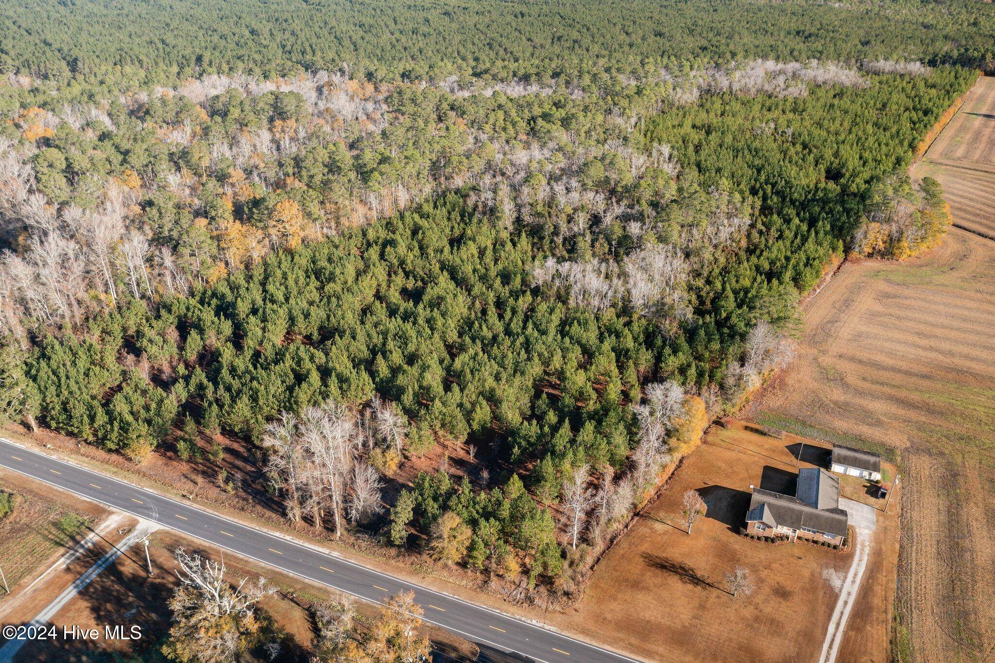 Maple Hill, NC 28454,32.02ac Nc 50 HWY