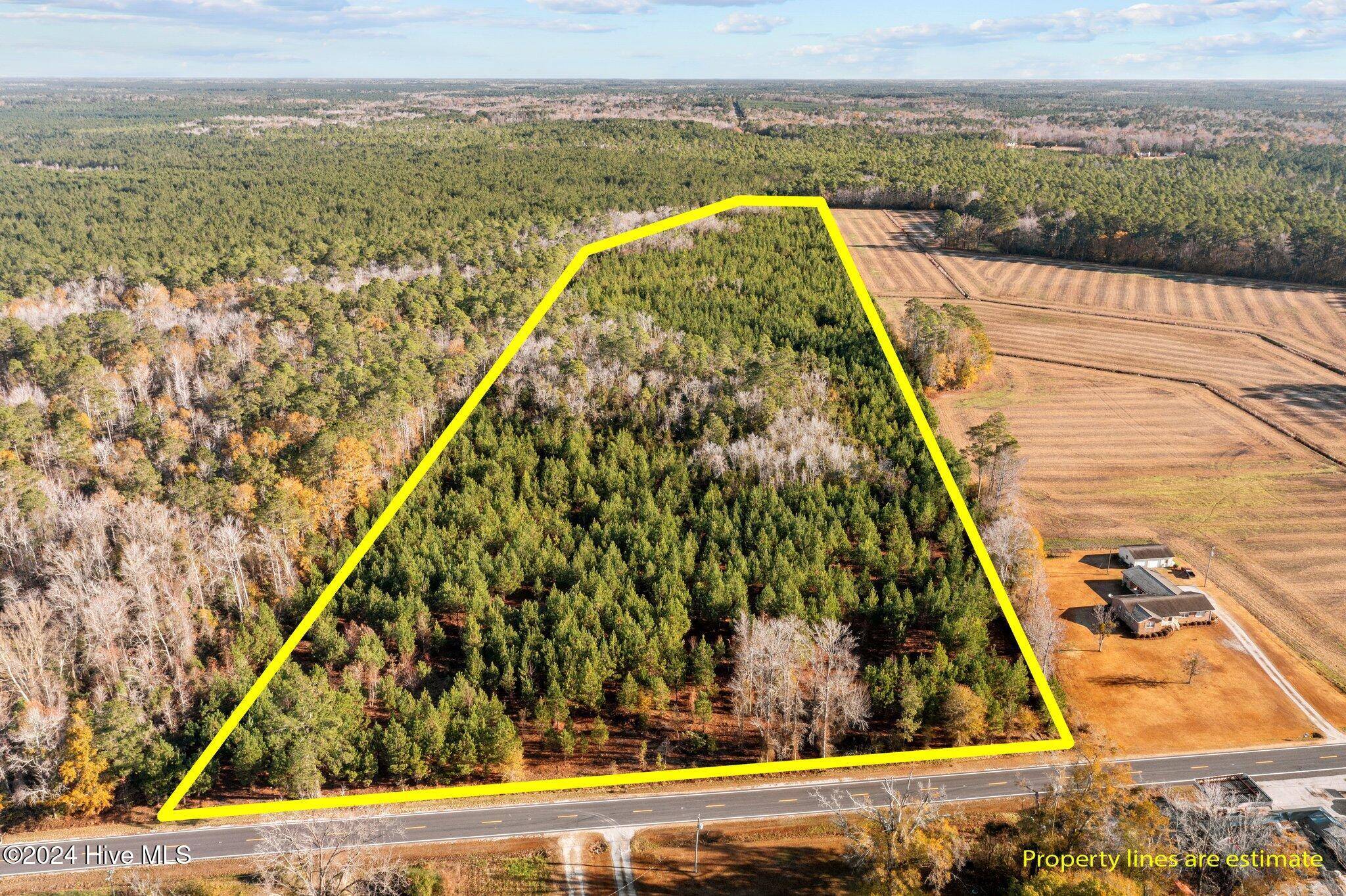 Maple Hill, NC 28454,32.02ac Nc 50 HWY