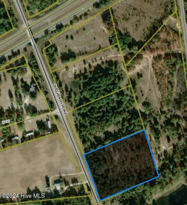 Hamlet, NC 28345,Tbd Old Gibson Road RD