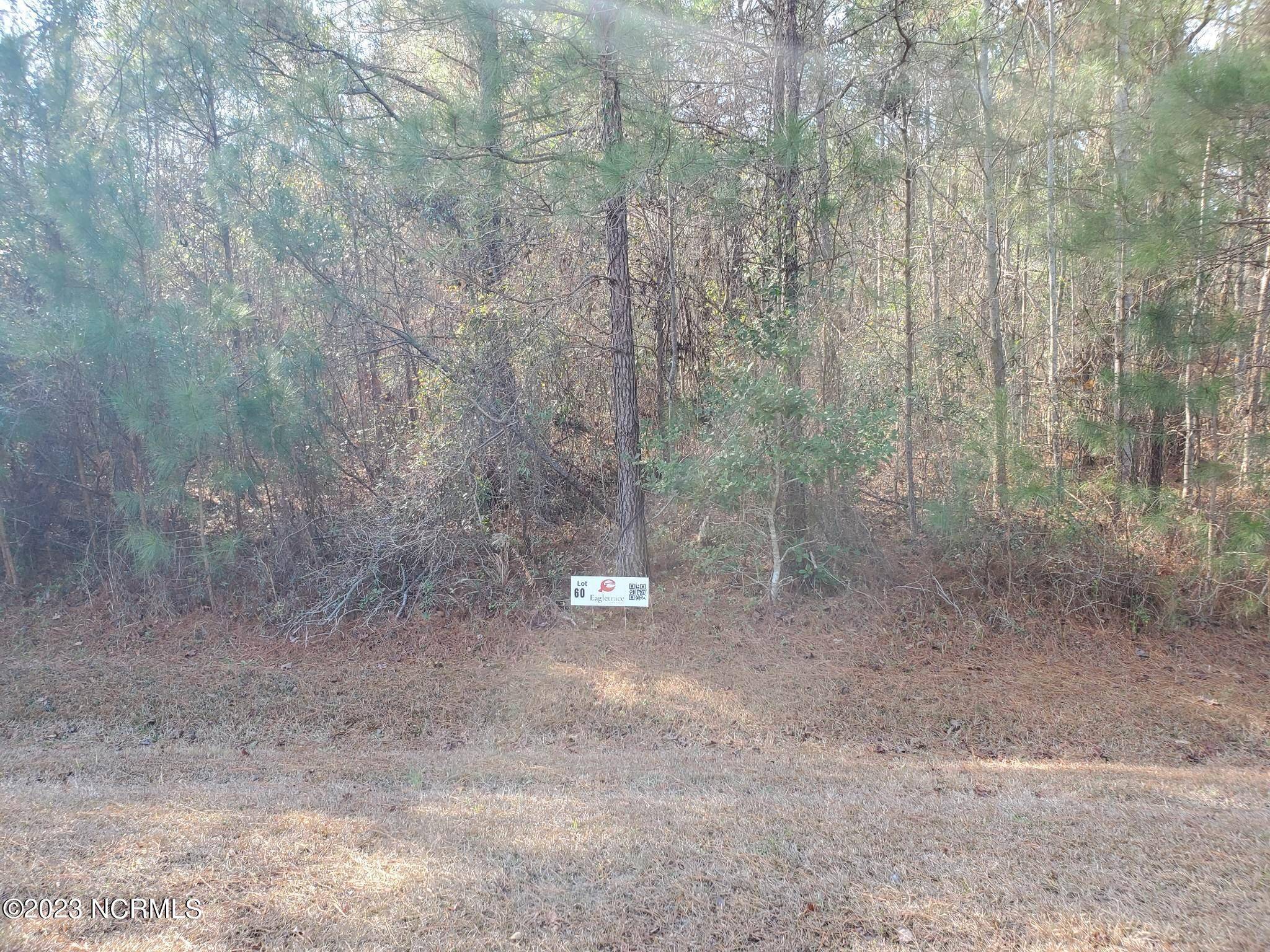 Blounts Creek, NC 27814,Lot 60 Eagle Trace DR