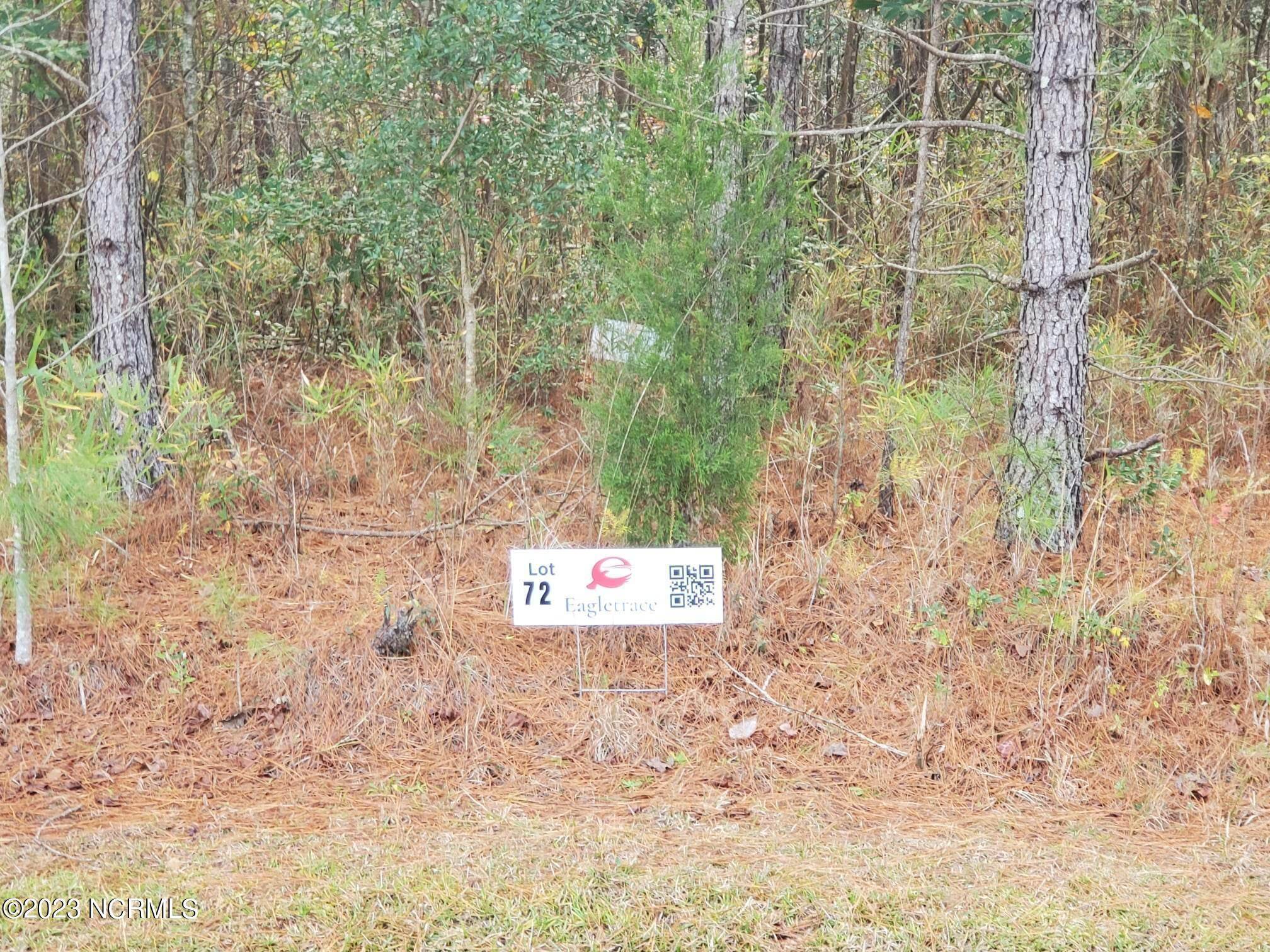 Blounts Creek, NC 27814,Lot 72 Eagle Nest TRL