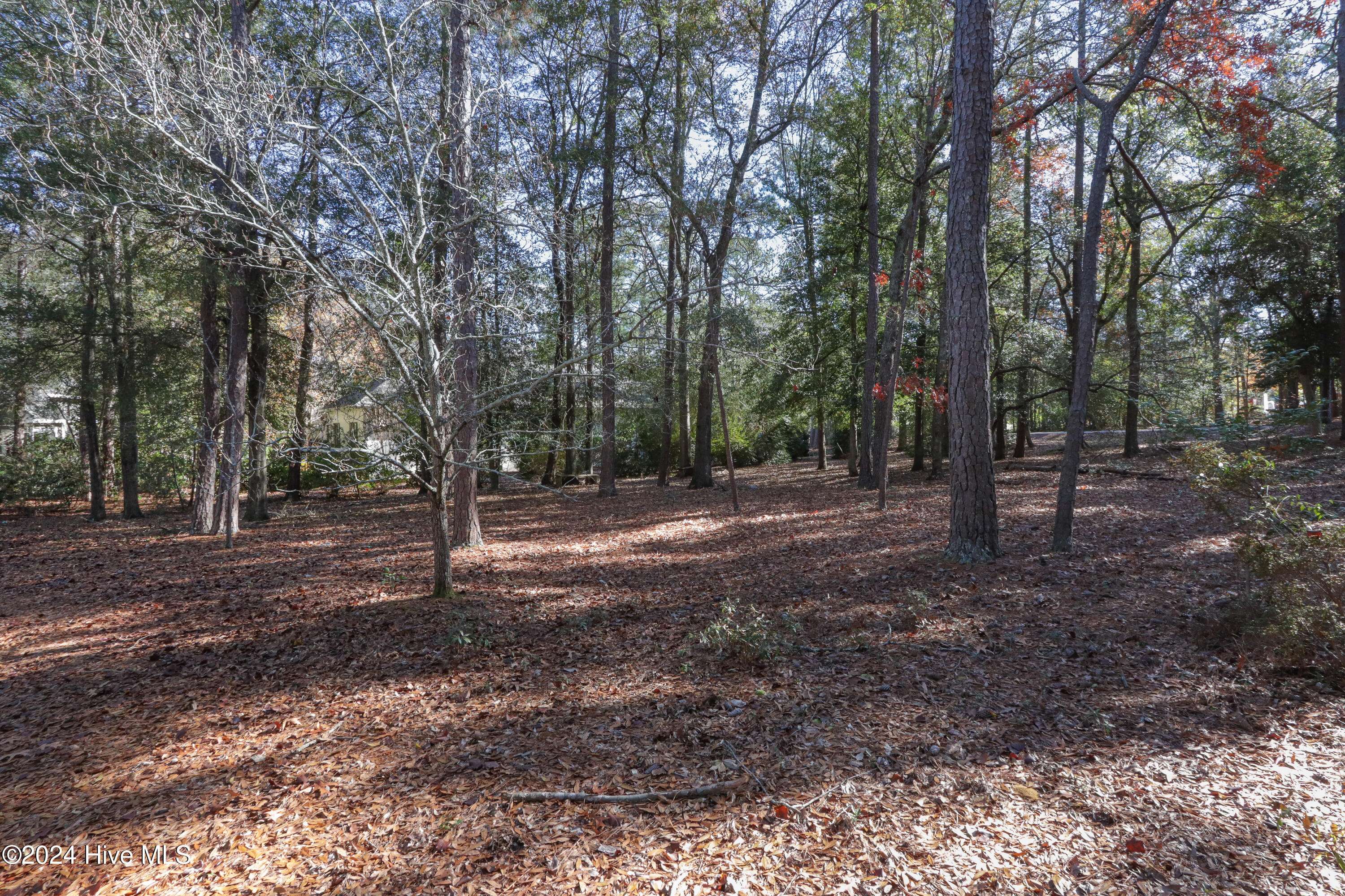 Pinehurst, NC 28374,Tbd Village Lane