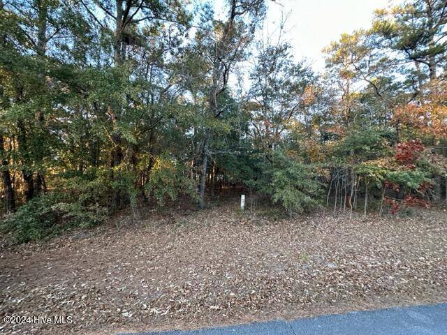 Minnesott Beach, NC 28510,Lot 60 Lakeshore DR