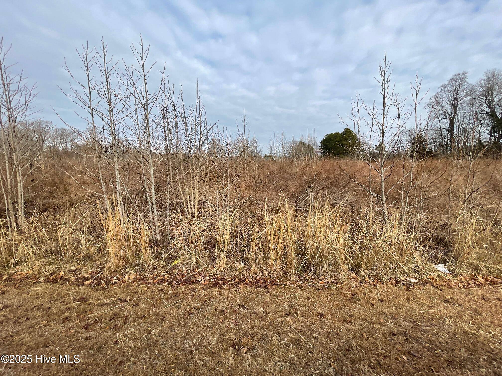 Harrellsville, NC 27942,104 Taylors Way, Lot 17 WAY