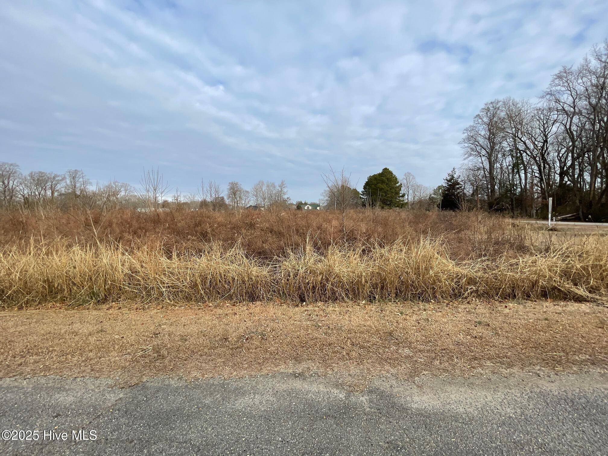 Harrellsville, NC 27942,104 Taylors Way, Lot 17 WAY