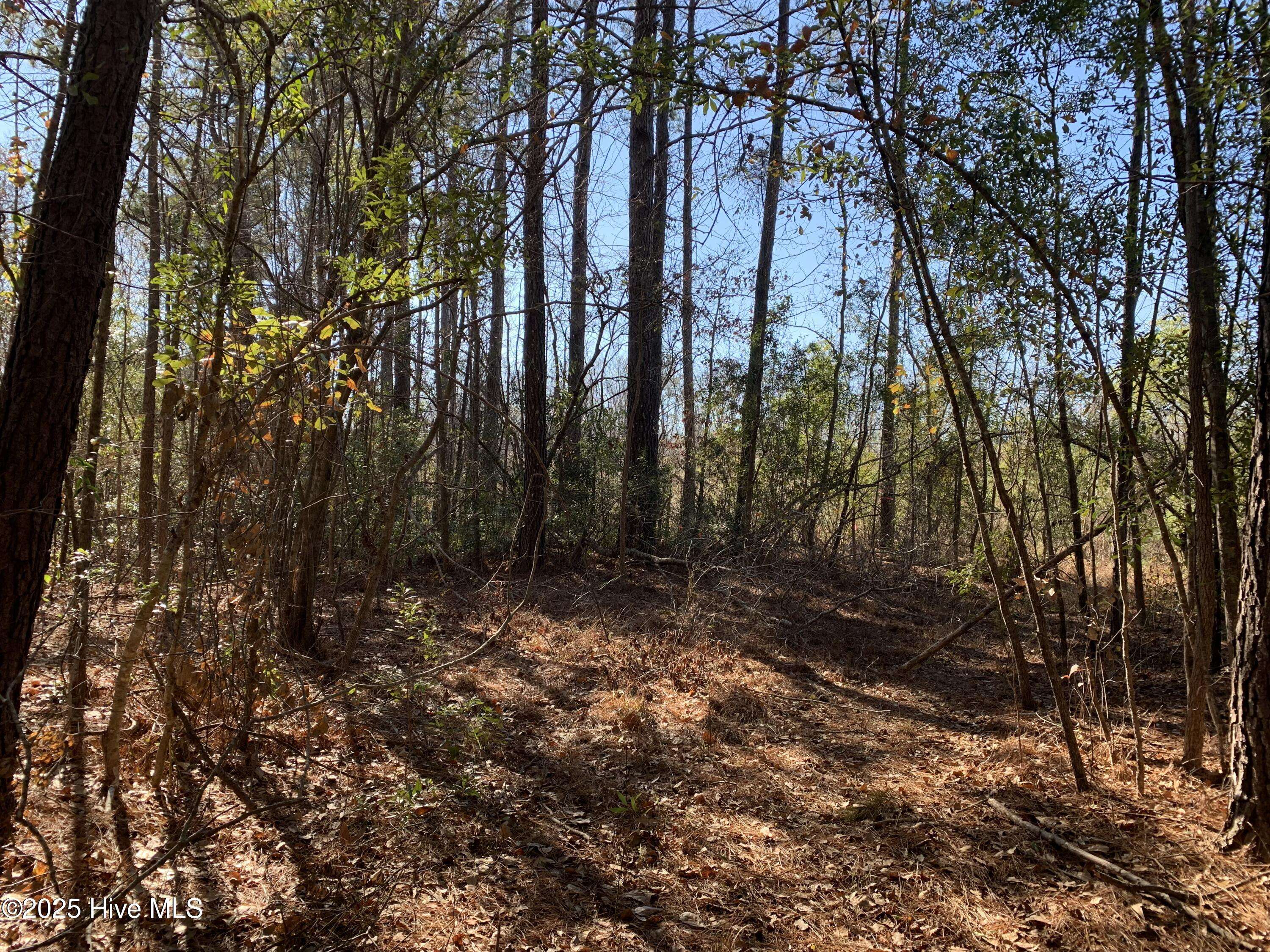 Leland, NC 28451,Lot 5 Palmers Branch DR NE