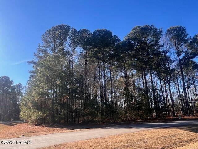 Hertford, NC 27944,Jj-65 Standard Bred Way WAY