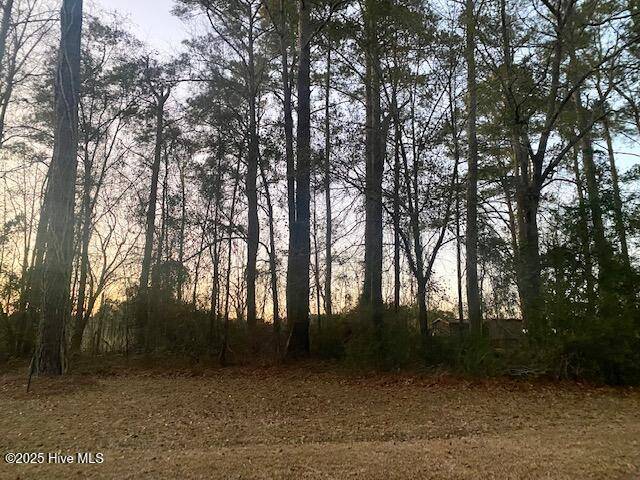 Wallace, NC 28466,Lot #39 Sunset RD