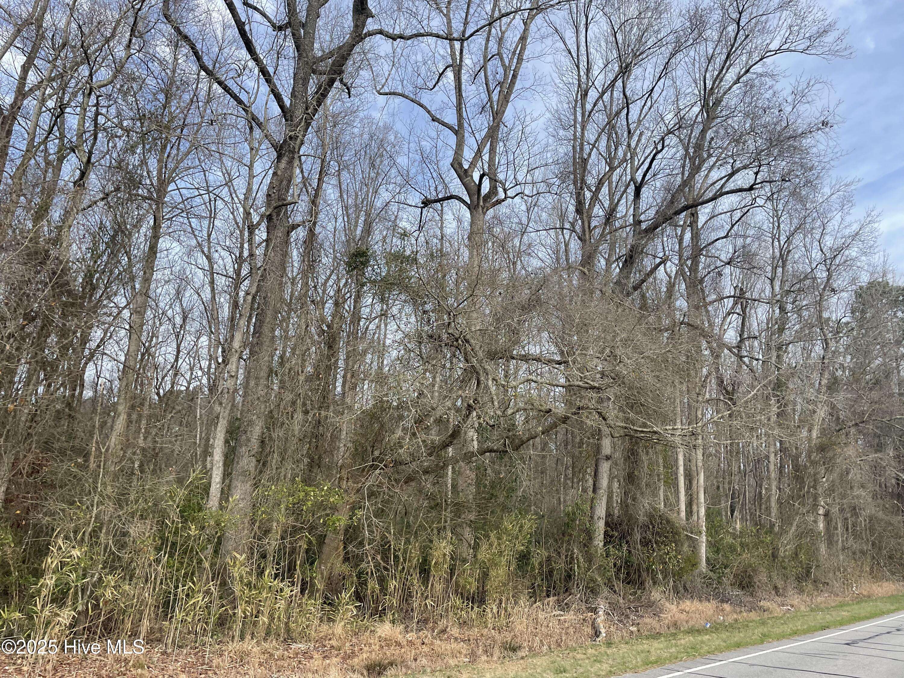 Fair Bluff, NC 28439,Tbd Orange Steet