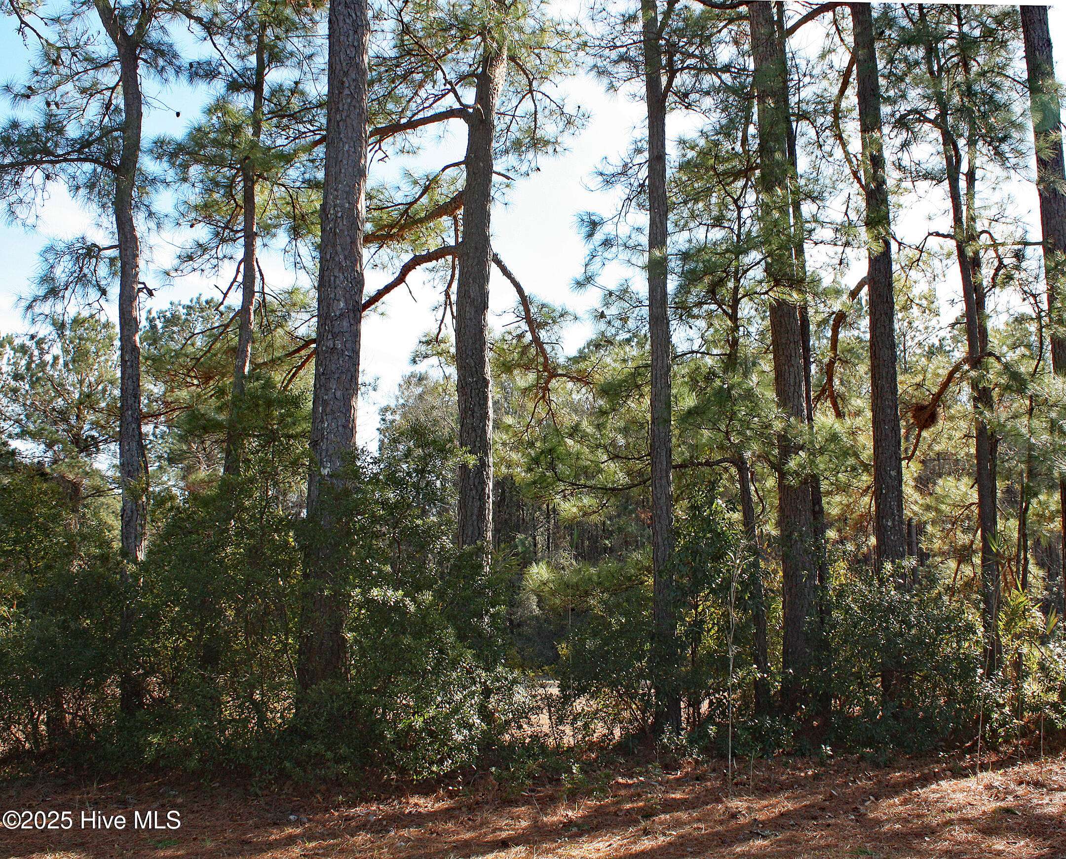 Ocean Isle Beach, NC 28469,589 Lindgrove PL SW