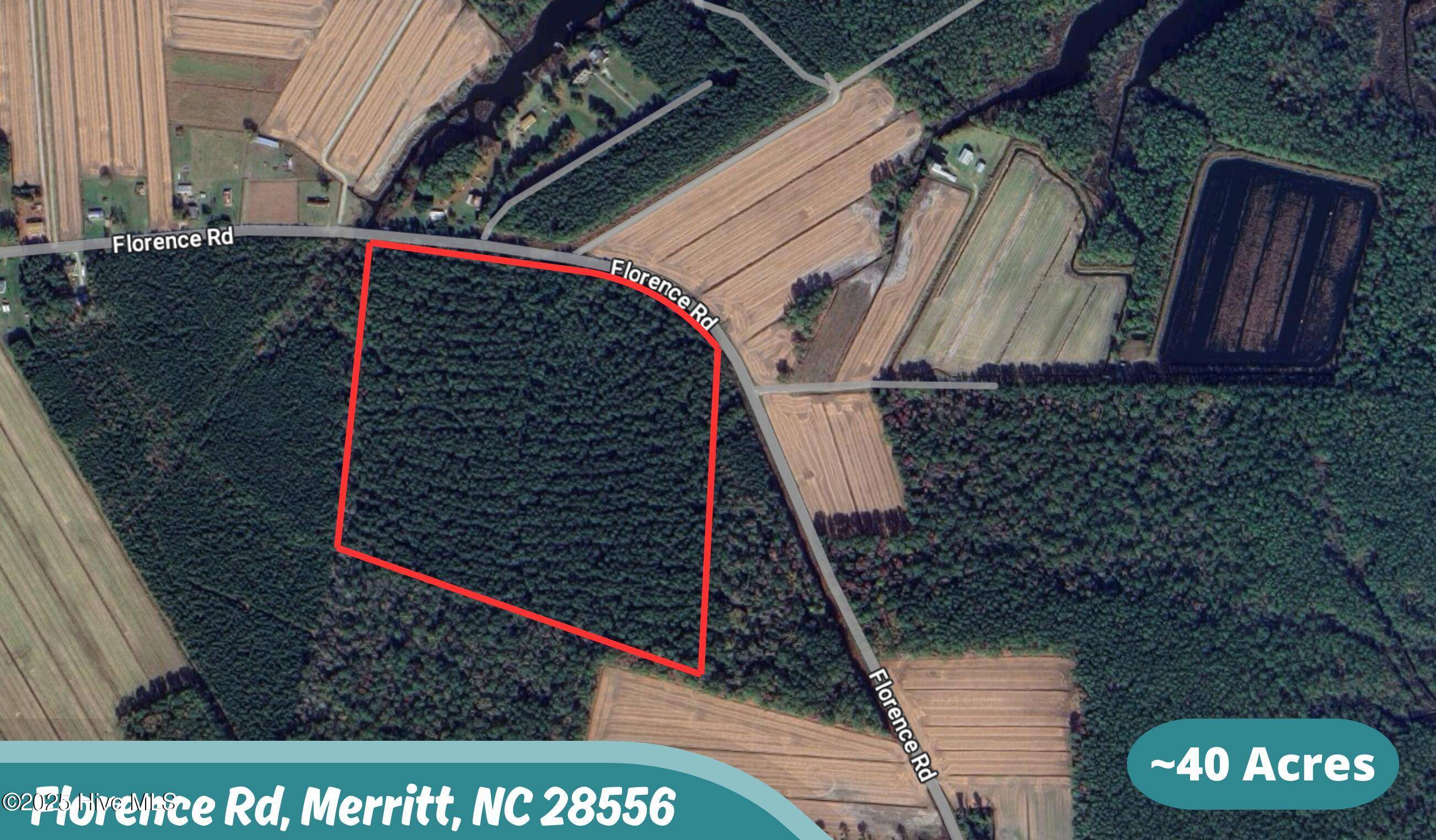 Merritt, NC 28556,40+ Acres Florence RD