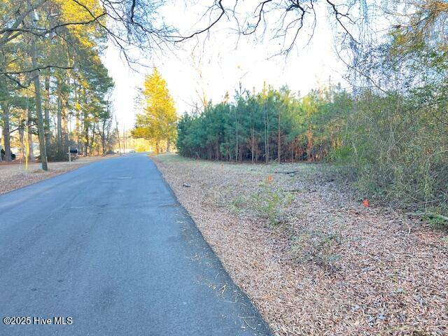 Roseboro, NC 28382,Lot 1 E Howard ST