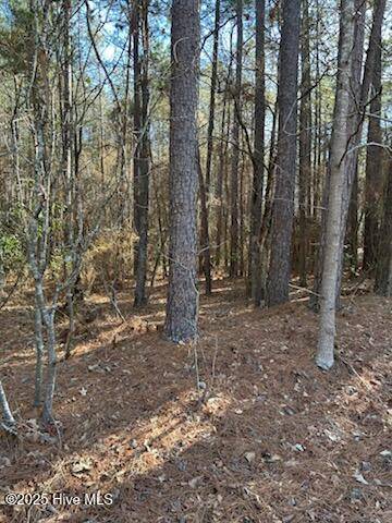 Vass, NC 28394,Tbd Aiken RD