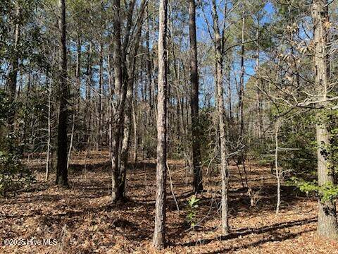 Vass, NC 28394,Tbd Aiken RD