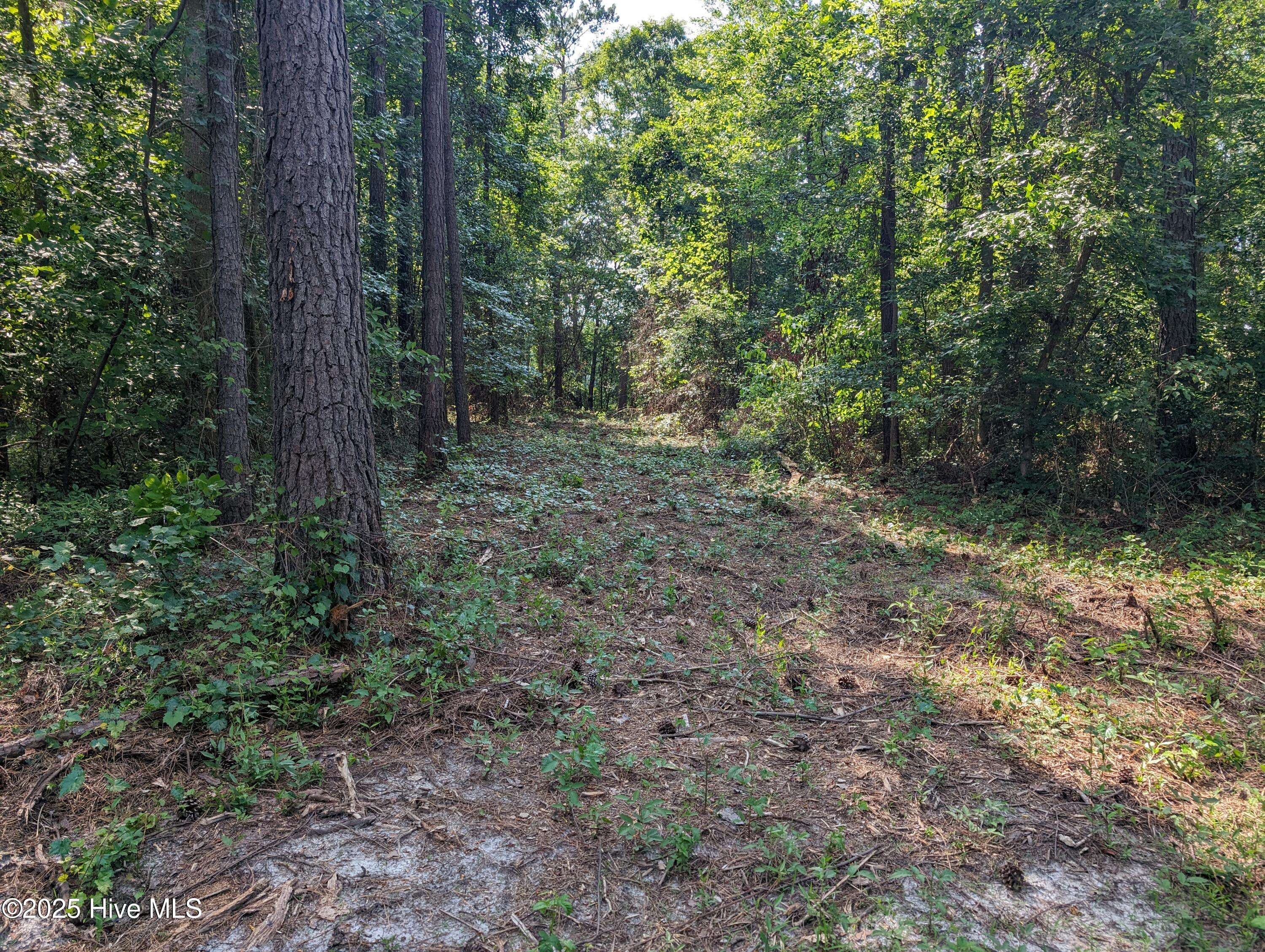 Clarkton, NC 28433,4595 Mercer Mill Brown Marsh RD