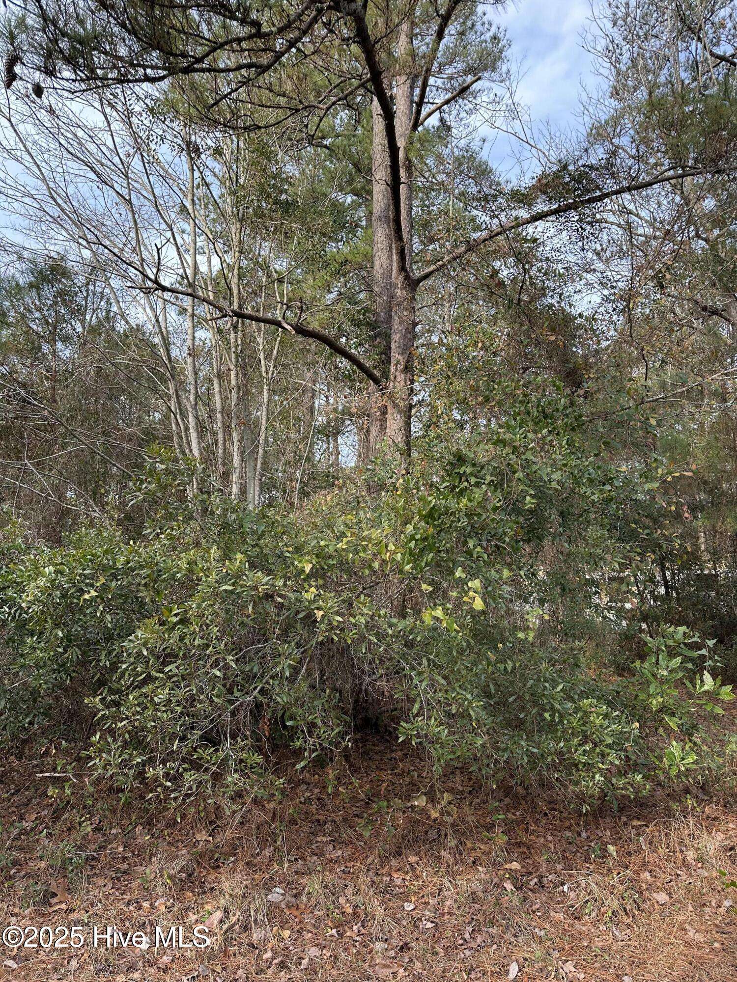 Supply, NC 28462,2285 Elkin ST SW