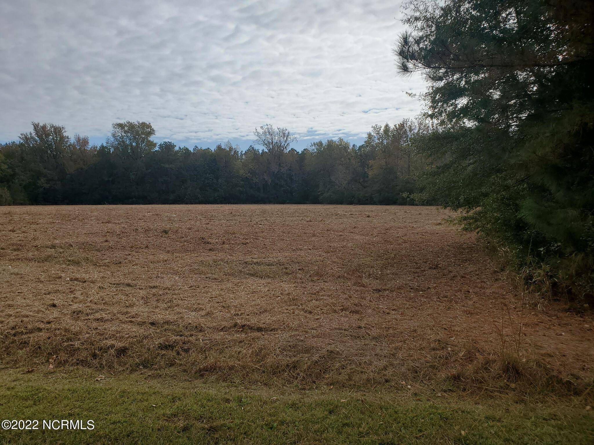 Blounts Creek, NC 27814,Lot 75 Eagle Nest TRL