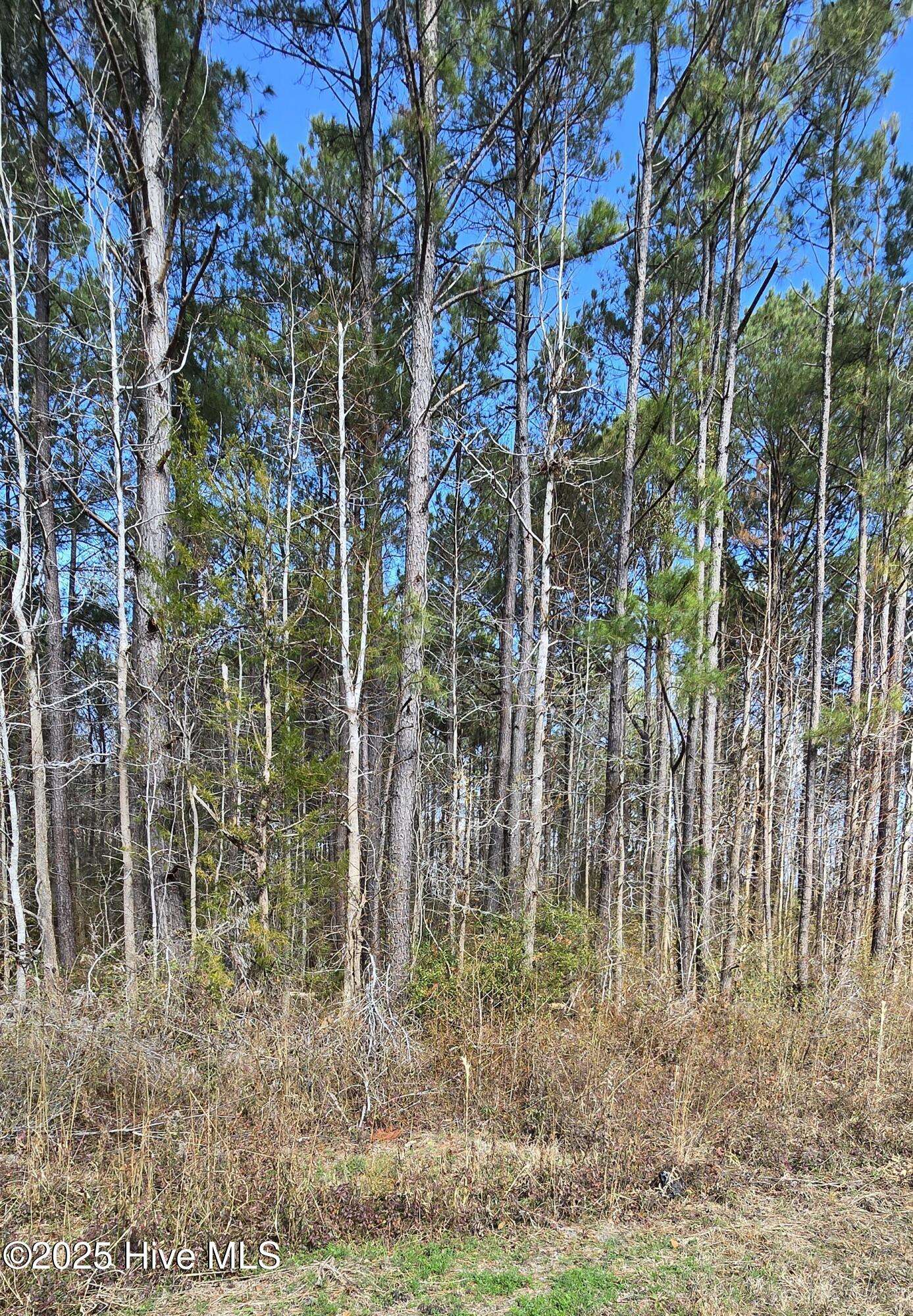 Winnabow, NC 28479,00 Funston RD SE