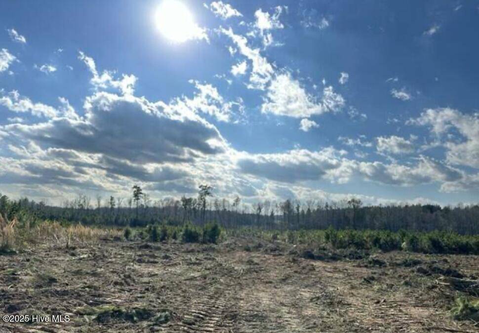 Spring Hope, NC 27882,Lot 13 Good Shepherd TRL