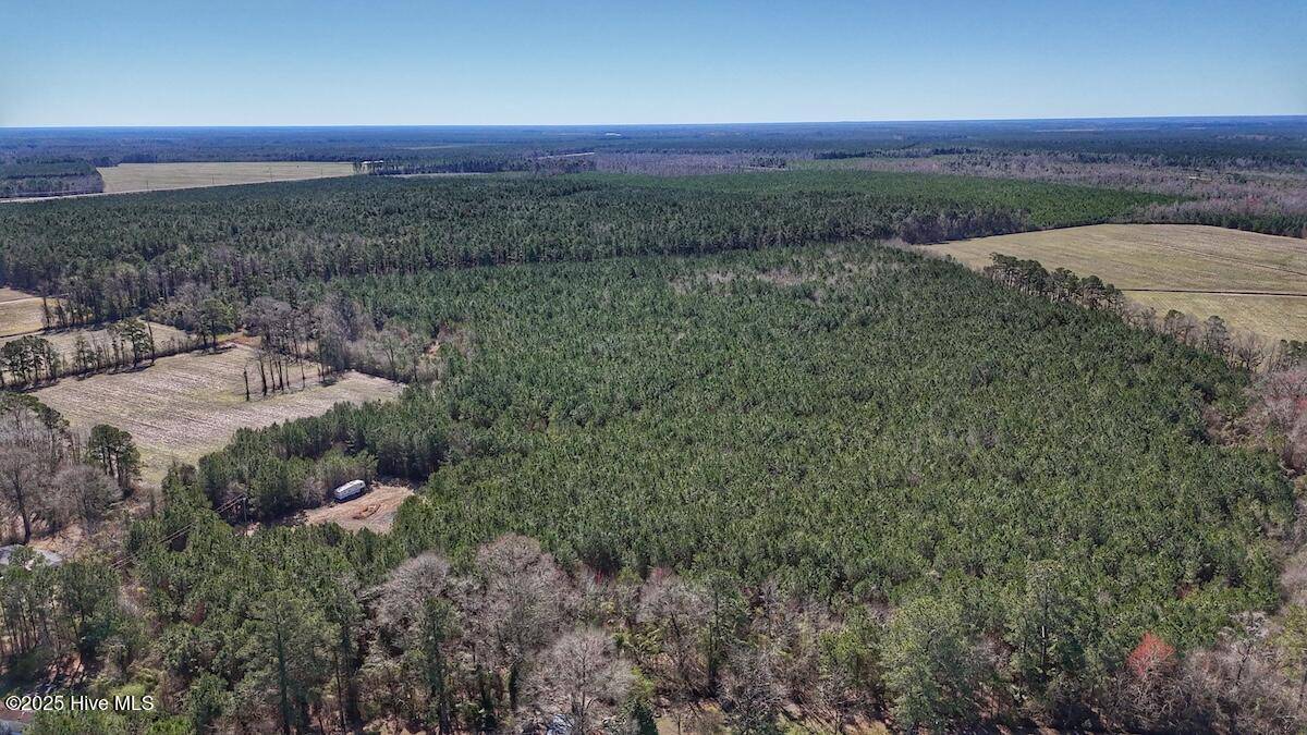 Trenton, NC 28585,01 Highway 41
